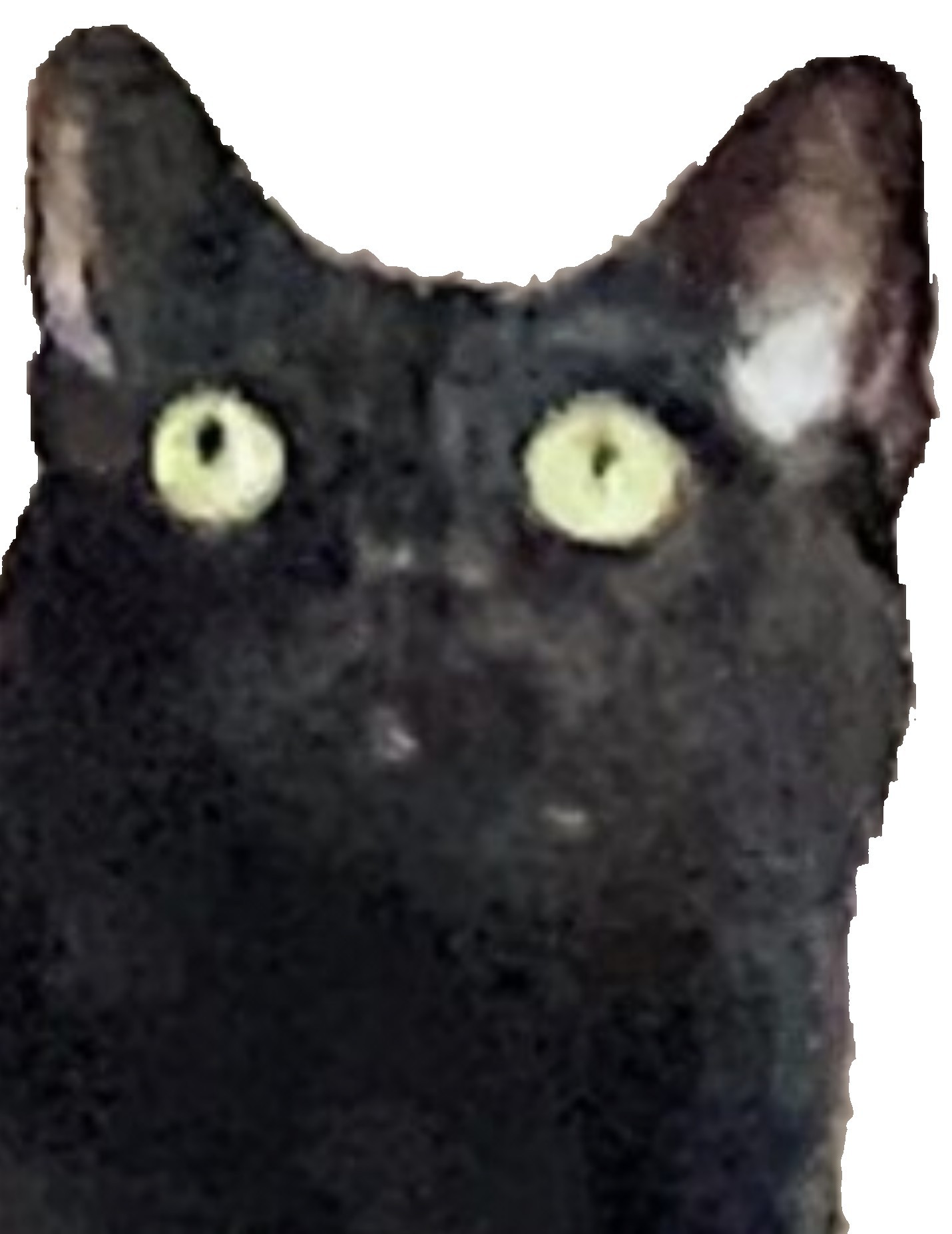 grailed_admin's post