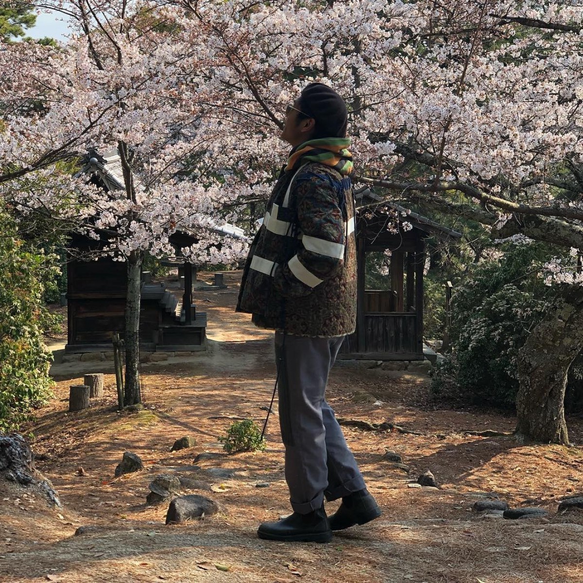 p0cketman's post