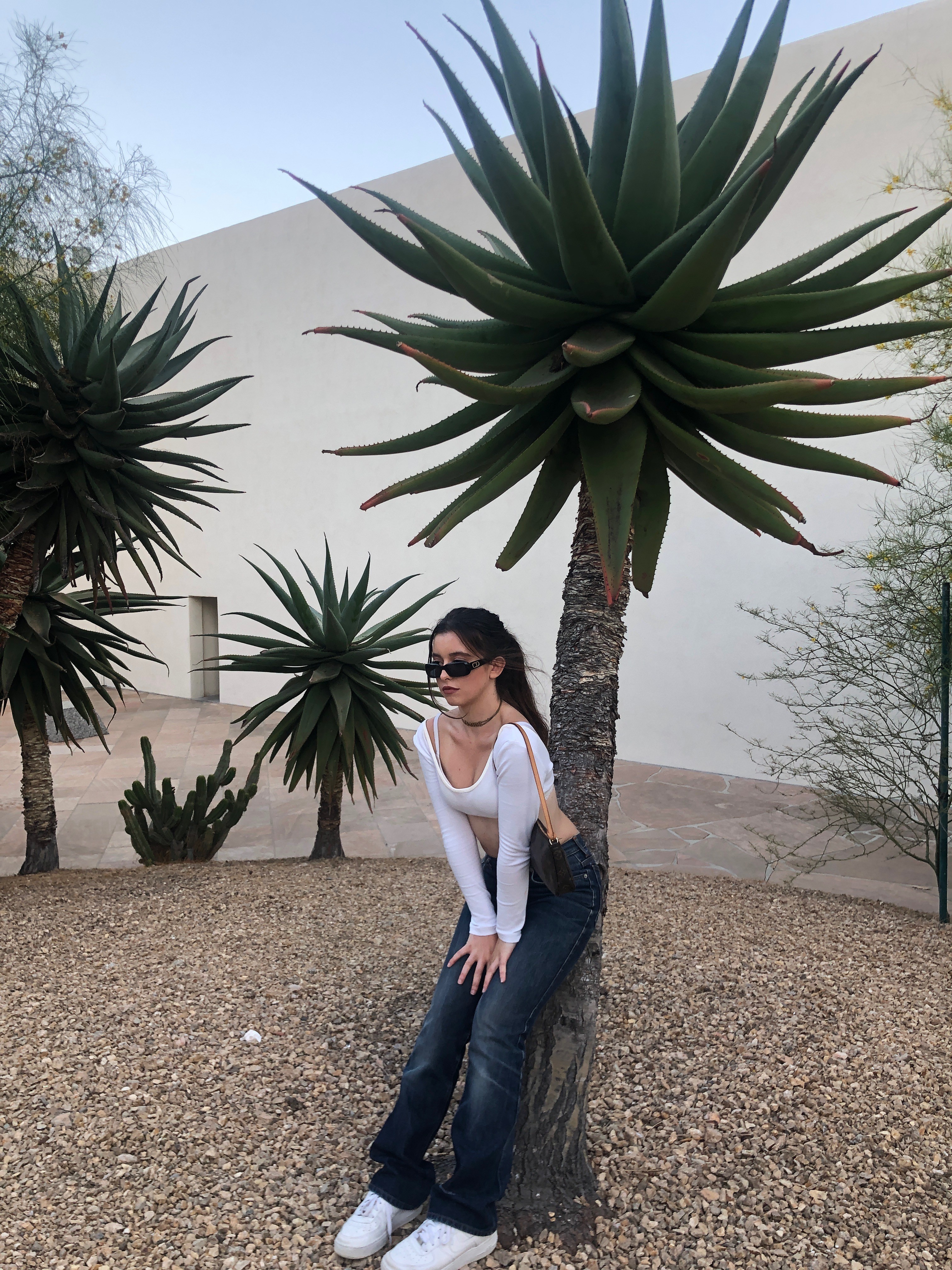 bellarose's post