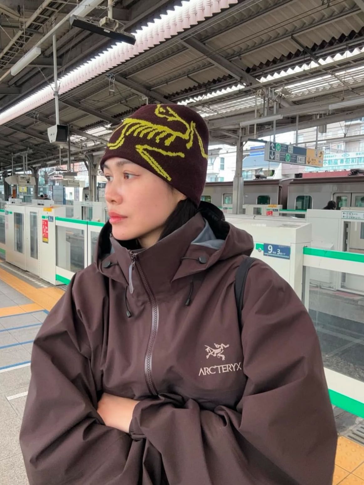 Arc'teryx Bird Head Toque | REVERSIBLE