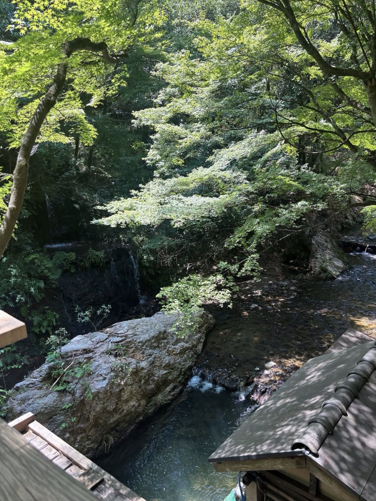 shentanaka's post