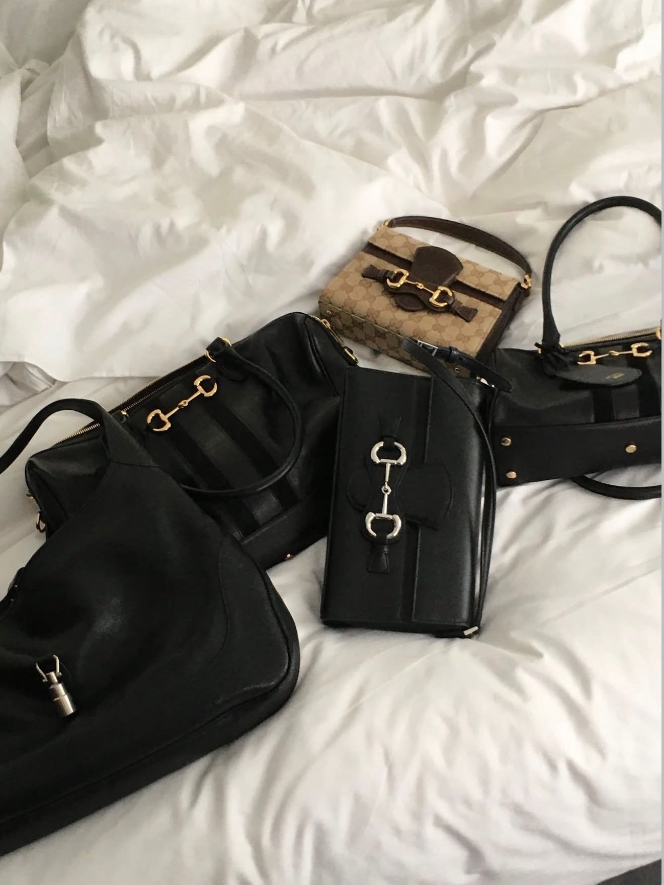 tansuan's post