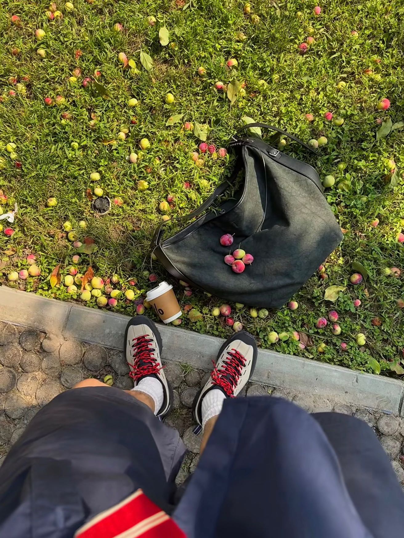 zachmomsen's post