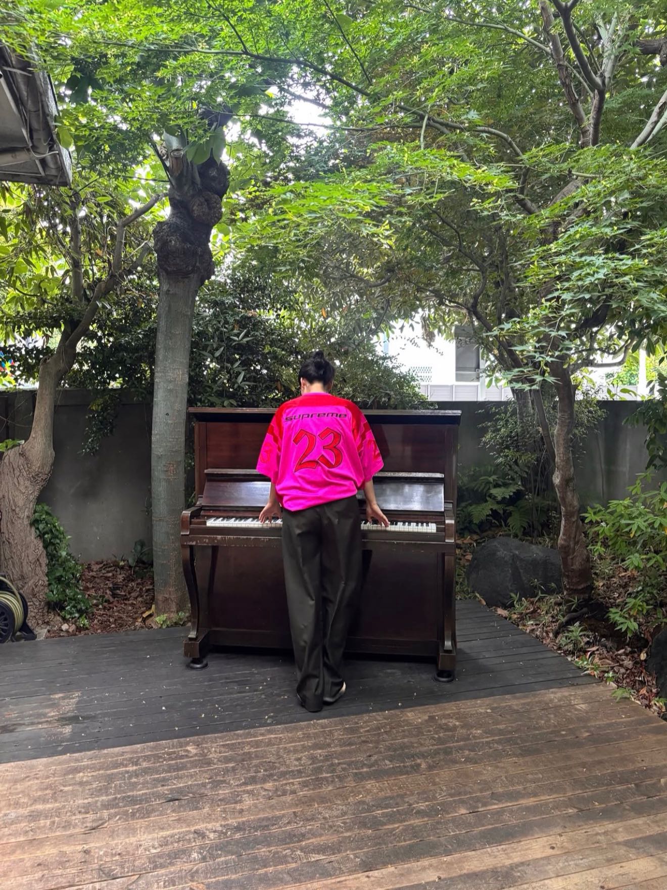 shentanaka's post