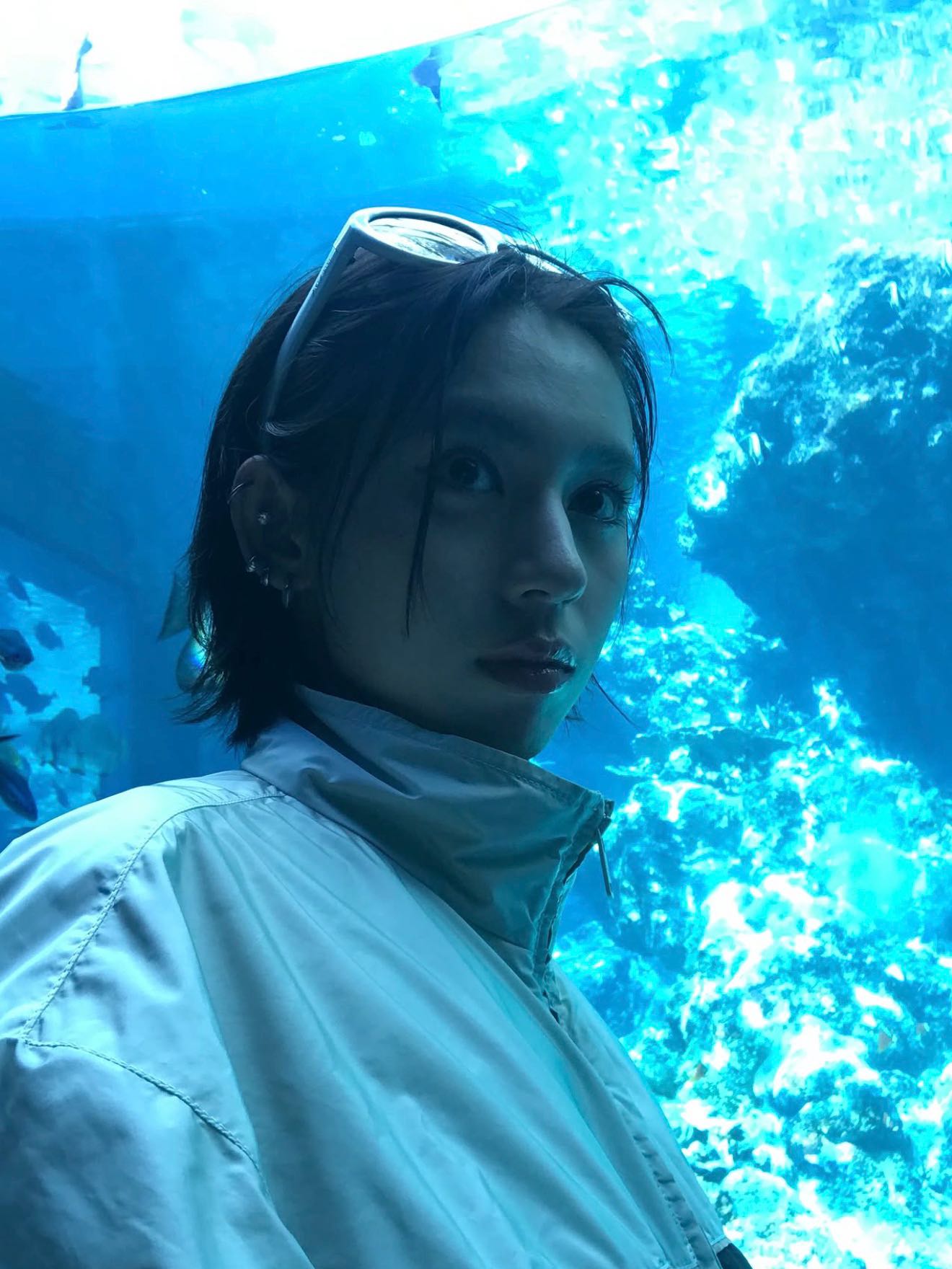 tansuan's post