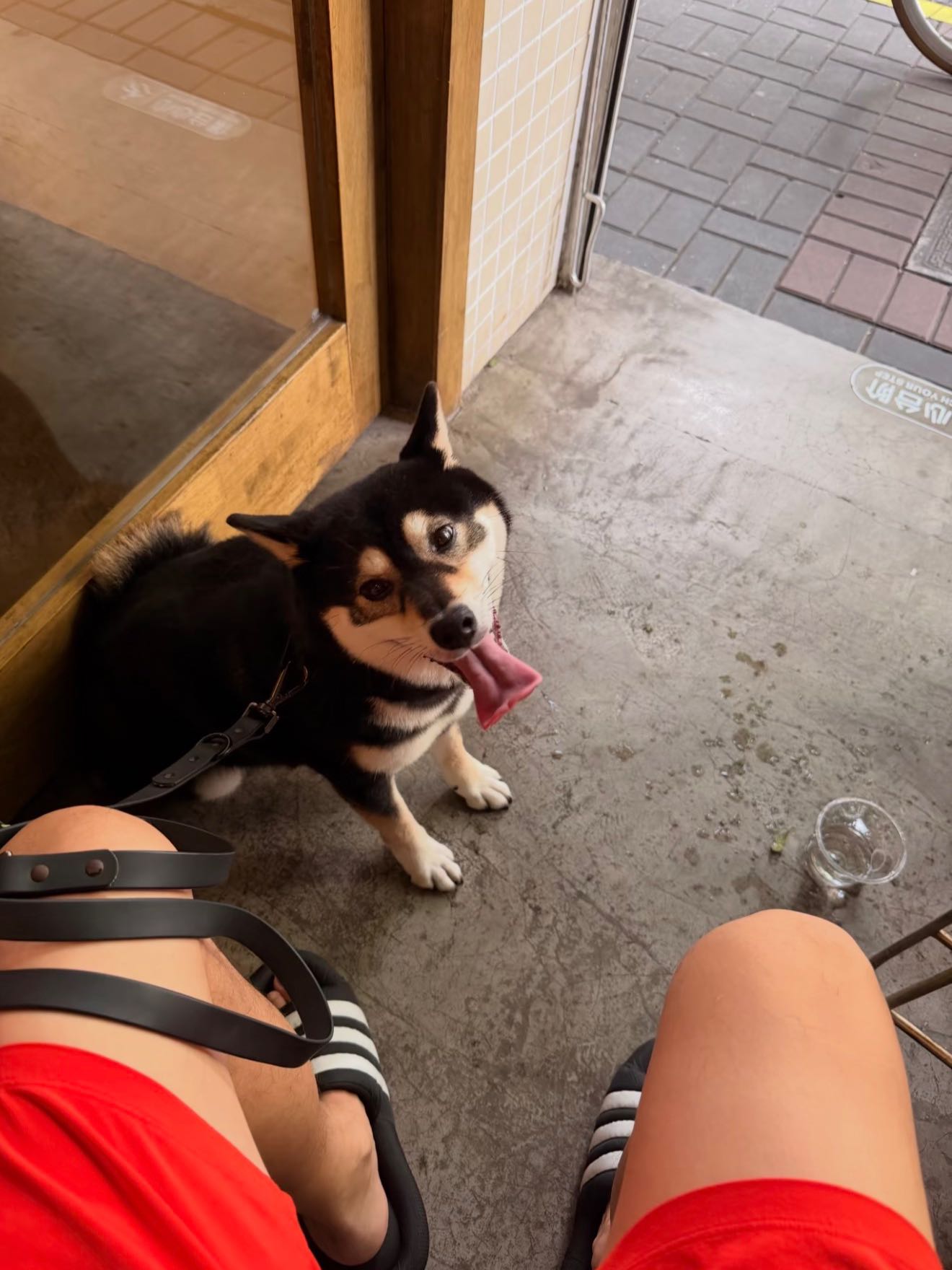 theofour's post