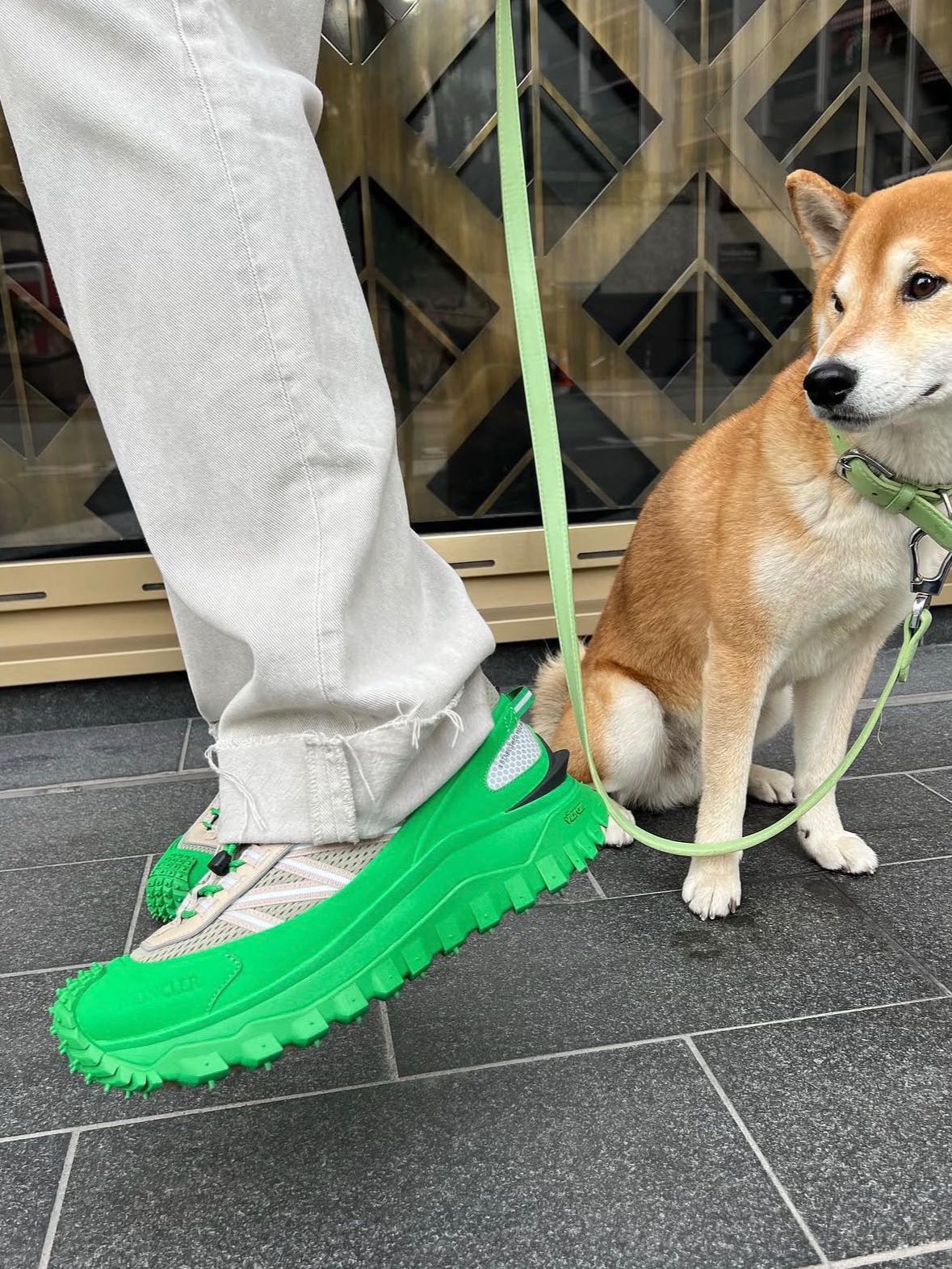 monclercity's post