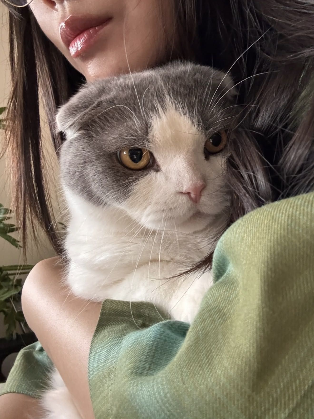 shentanaka's post