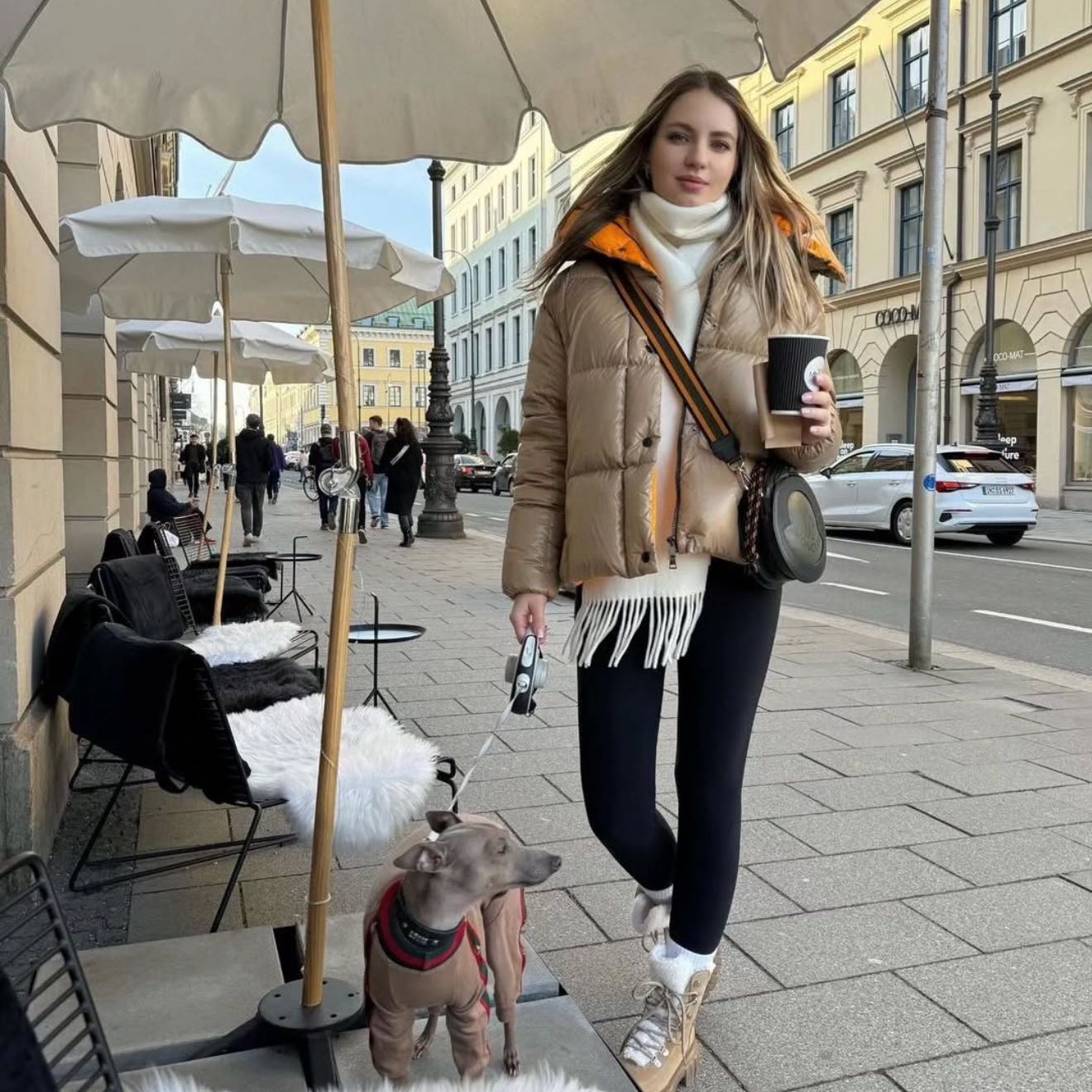 monclercity's post