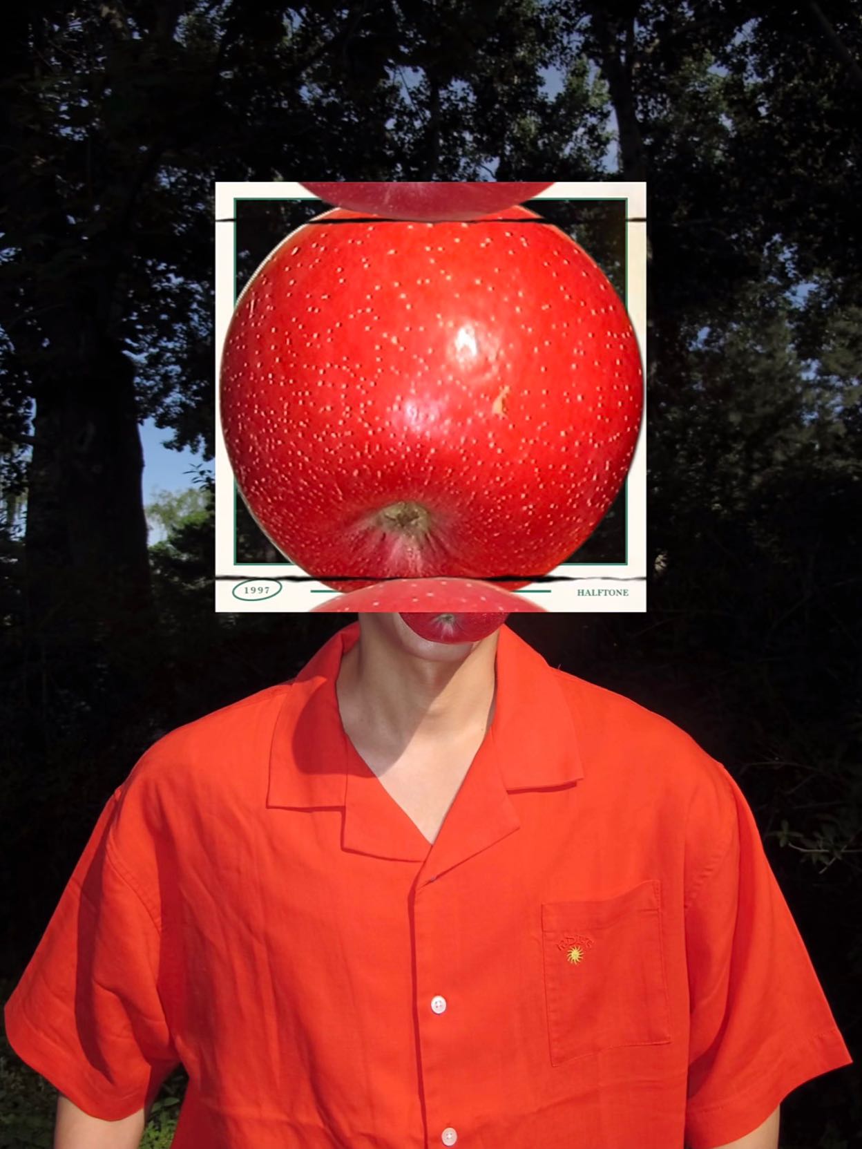 zachmomsen's post