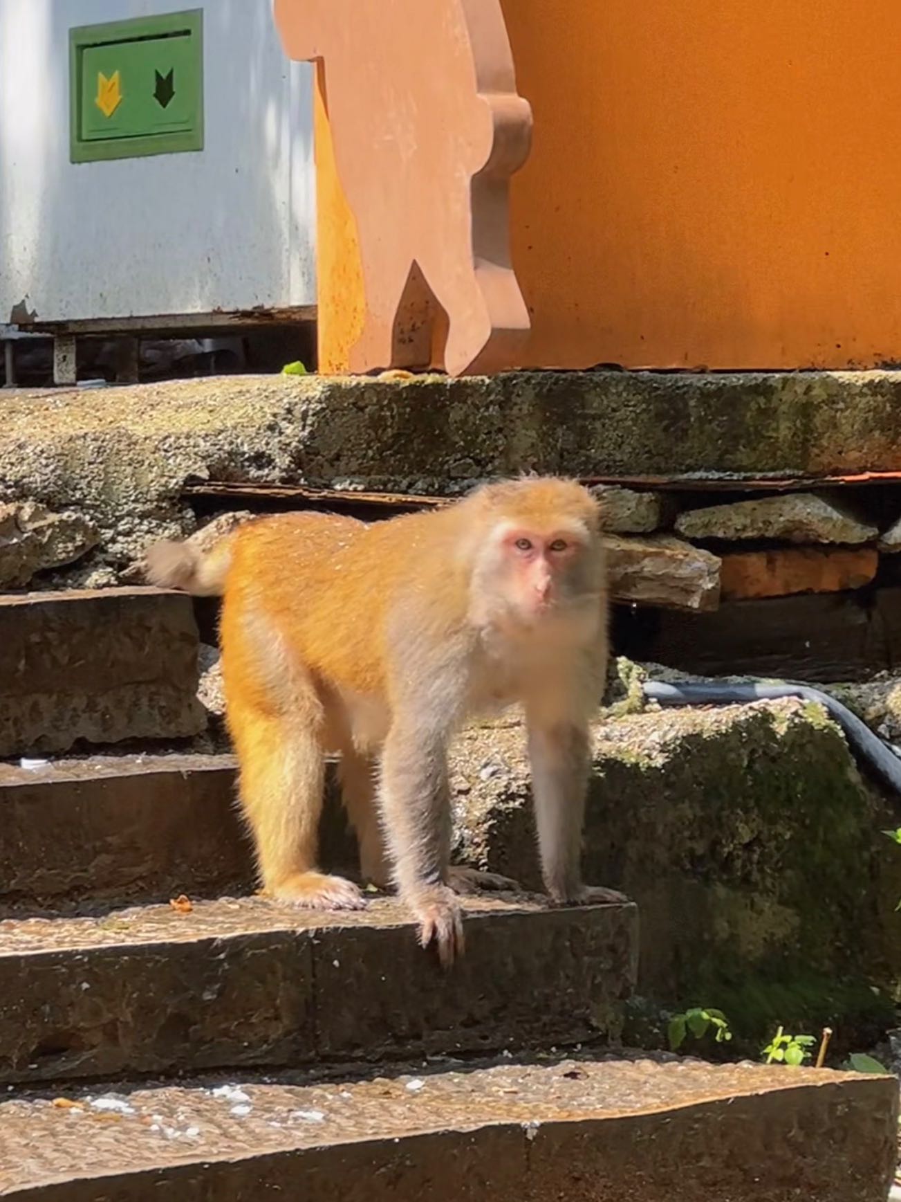 zachmomsen's post