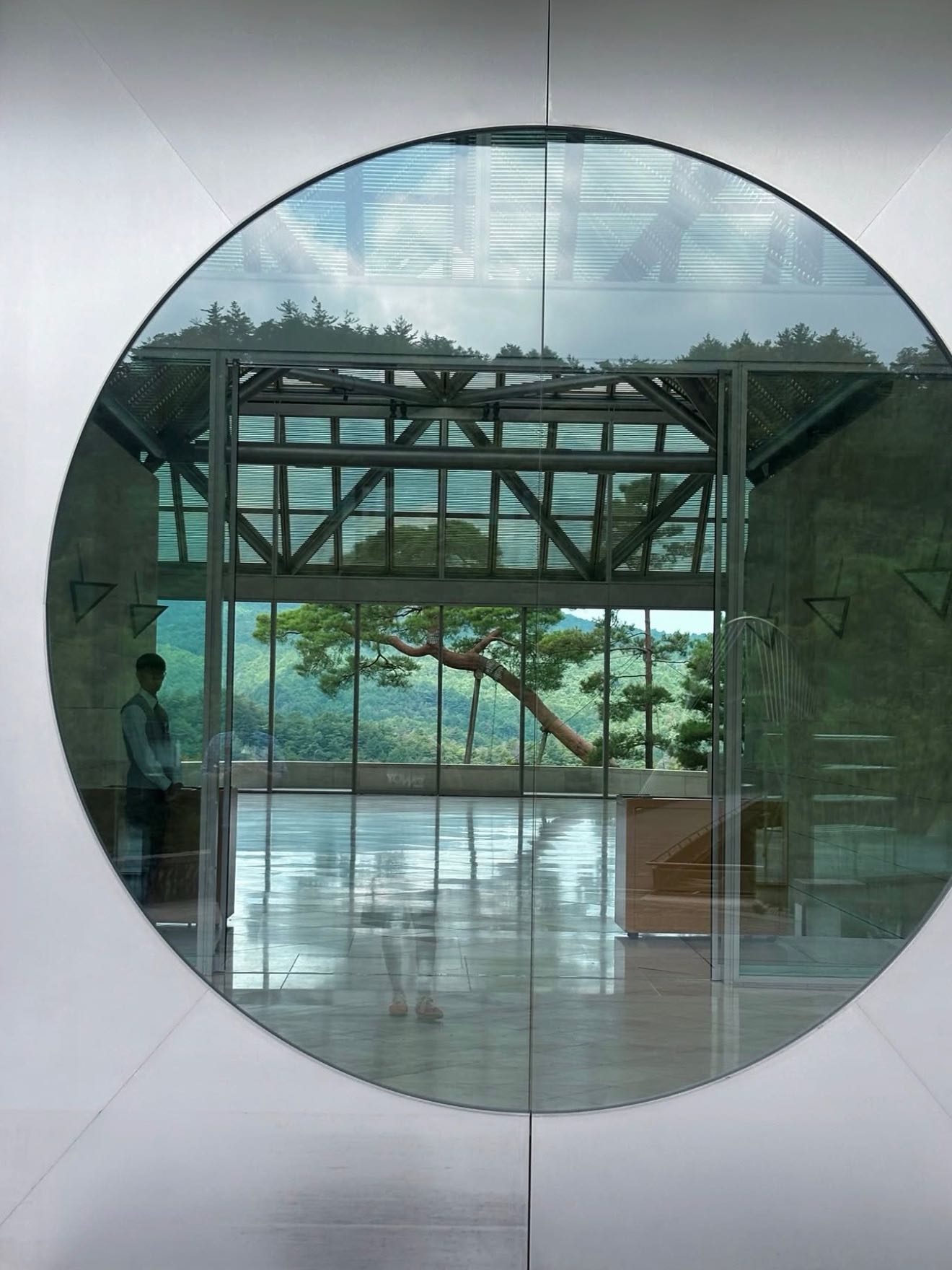 shentanaka's post