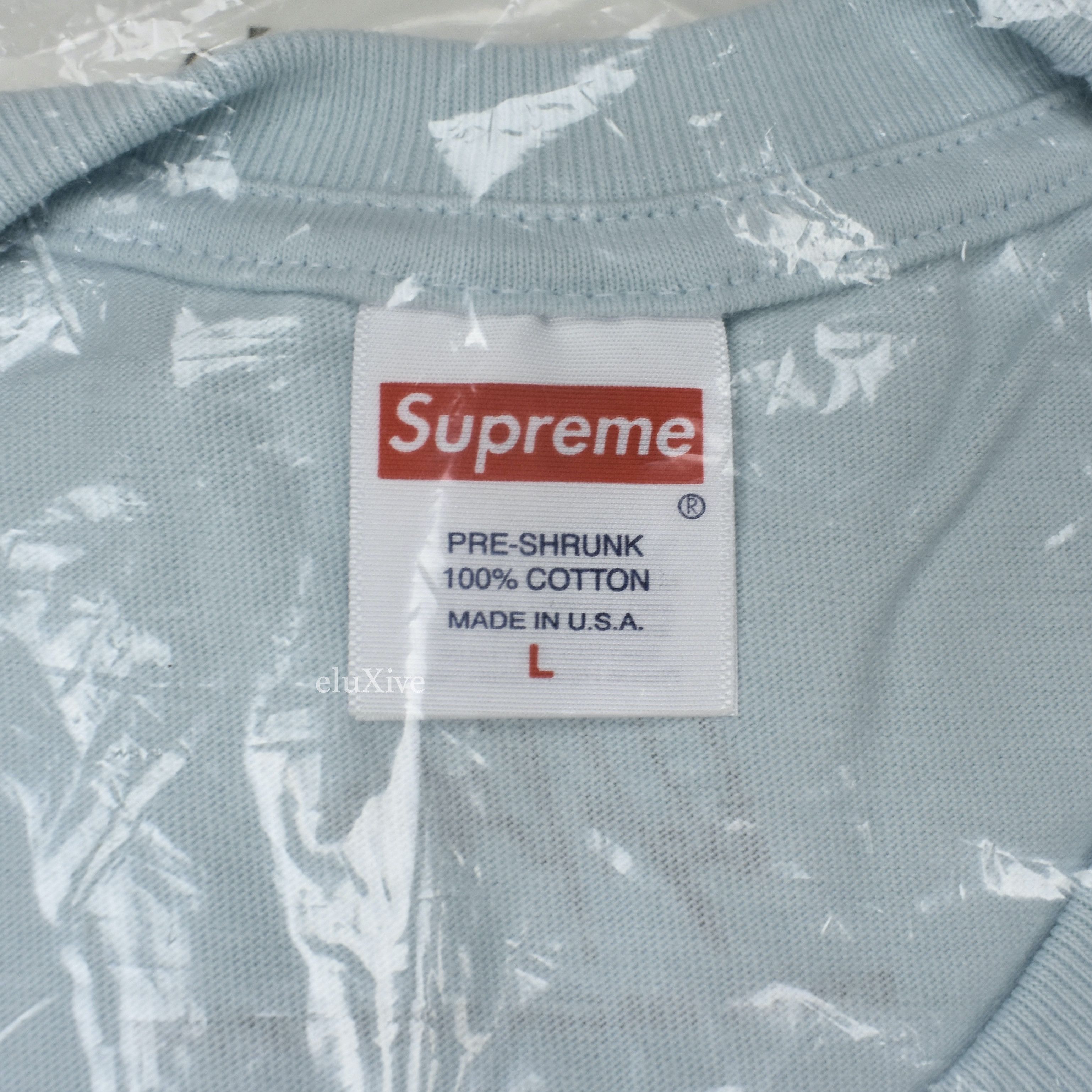 Supreme Dylan Photo T-Shirt Pale Blue DS - 6