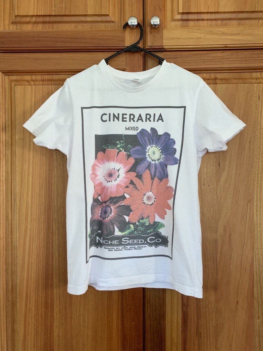 Niche - Seed tee - Cineraria - 1
