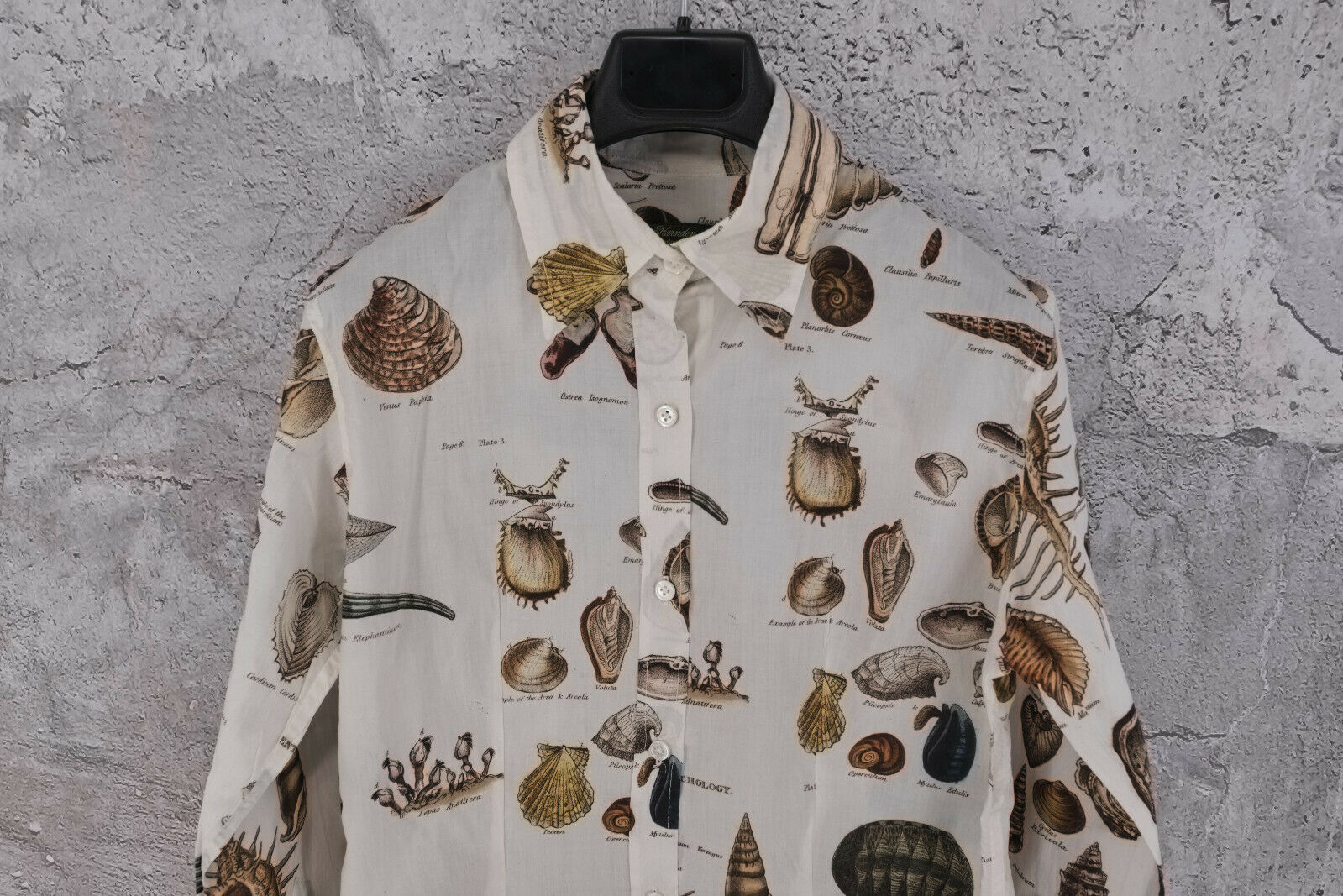 BNWT PAUL HARNDEN SHOEMAKERS WOMEN'S PRINTED SHELLS COTTON SHIRT M, - 4