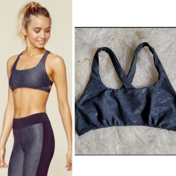 Planet Blue x Blue Life Fit Snakeskin Moto Legging & Sports Bra Set - 6