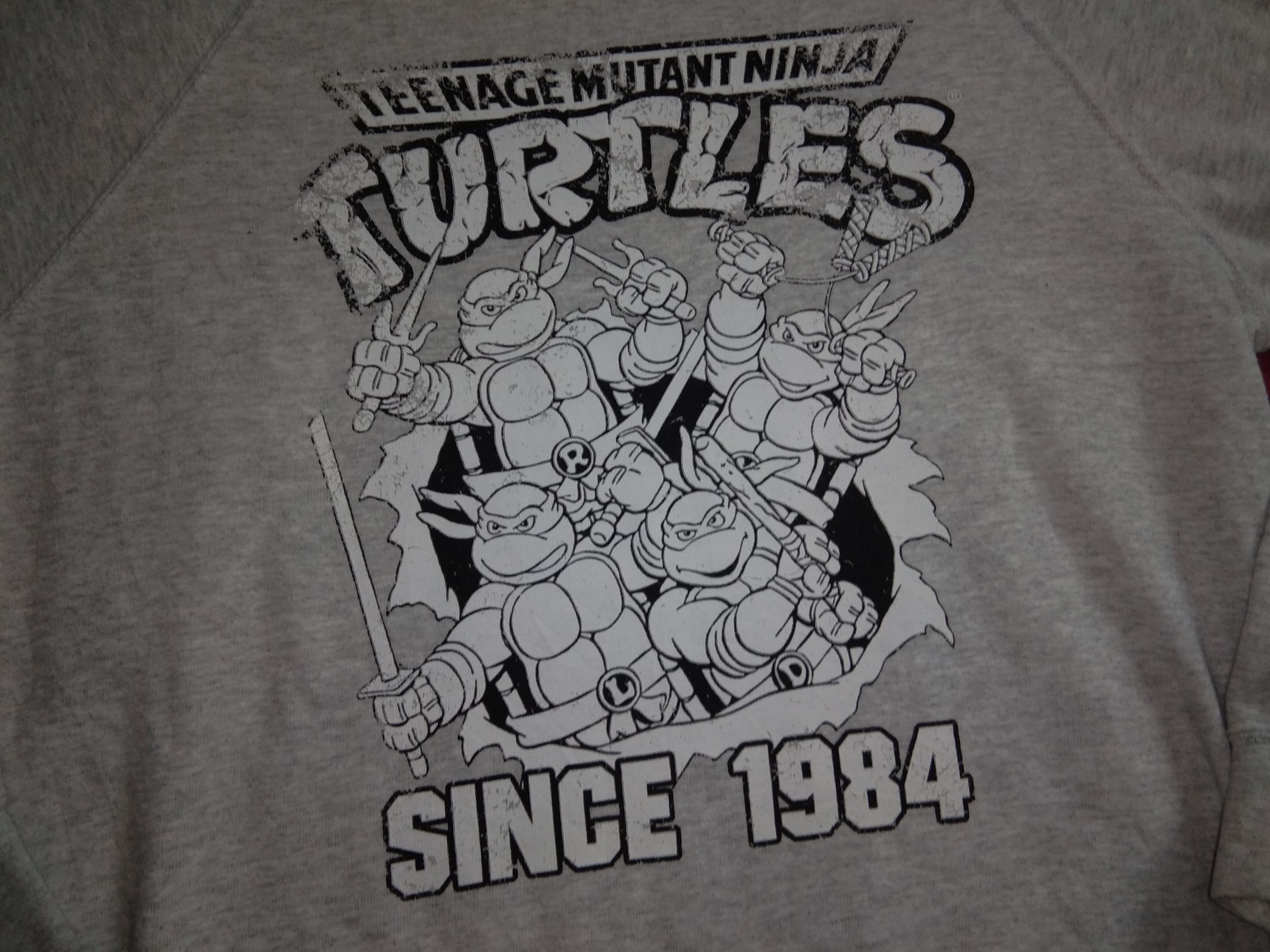 Cartoon Network - TMNT Ninja Turtles Distressed Since 1984 Sweatshirt cartoon - 1