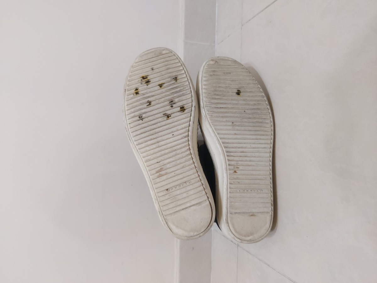Padded Scuba Sock Sneakers - 6
