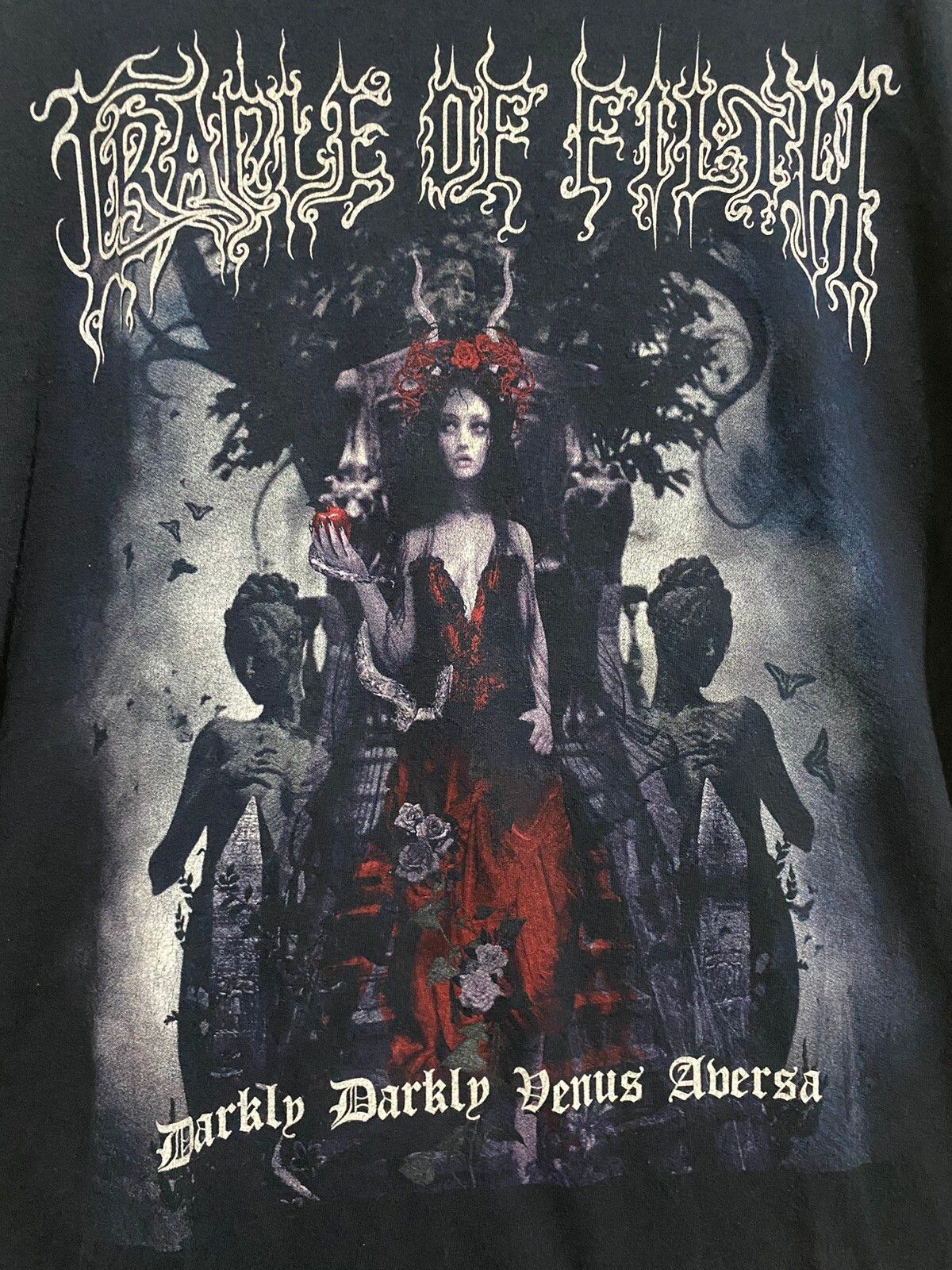 Vintage 2000s Cradle of Filth Darkly Venus Abersa - 2