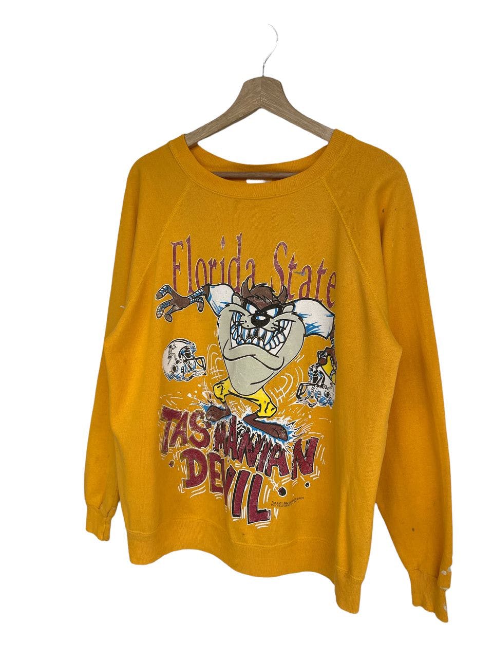 Last Drop!!Vintage Florida State University X Tazmania Sweat - 3