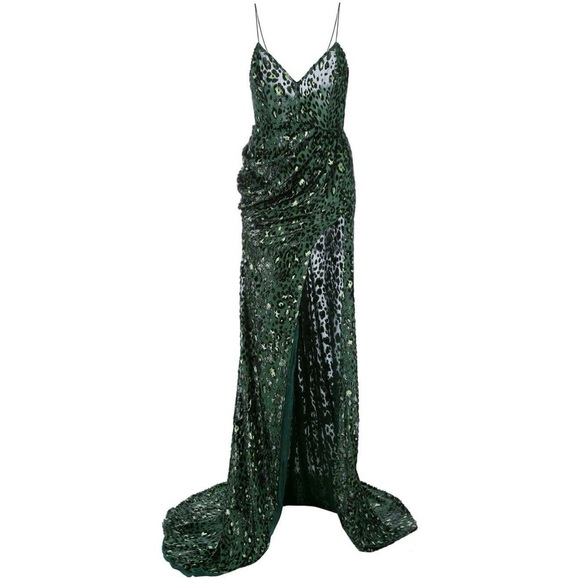 Alex Perry Corset Style Jensen Leopard Metallic Sheer Gown - 3