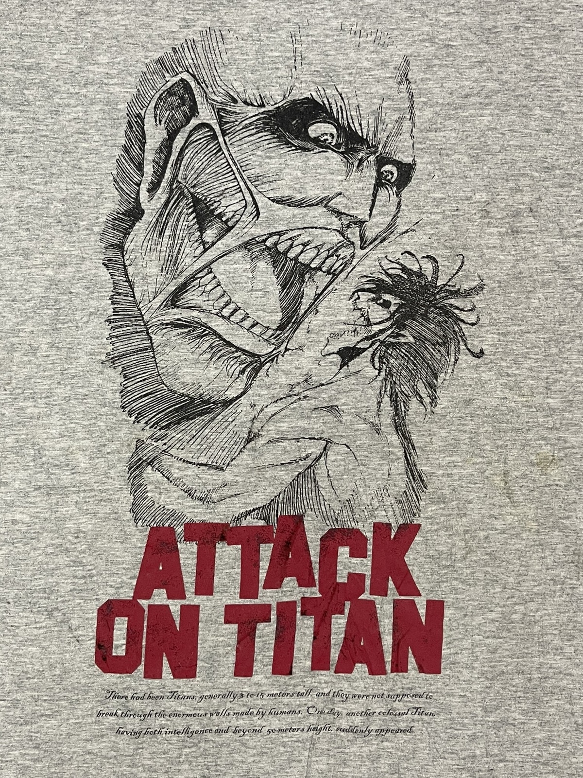 Japanese Brand - Attack On Titan Big Logo / Evangelion / Anime - 1