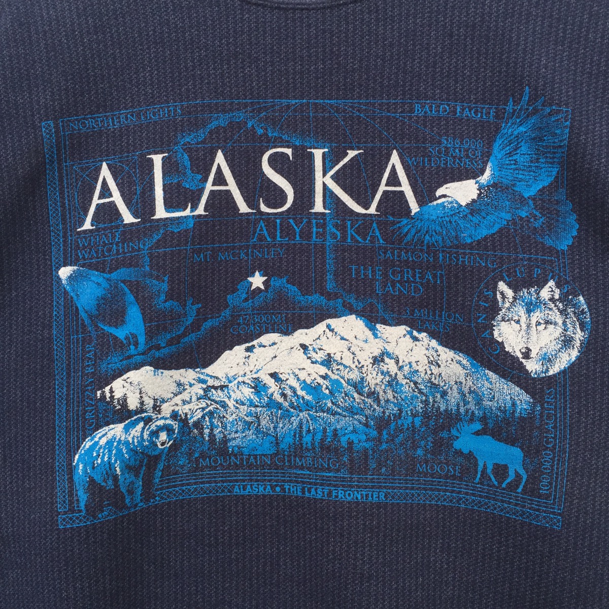 Vintage - Vintage 90s Alaska Alyeska Big Logo Sweatshirt | M | Swag - 3