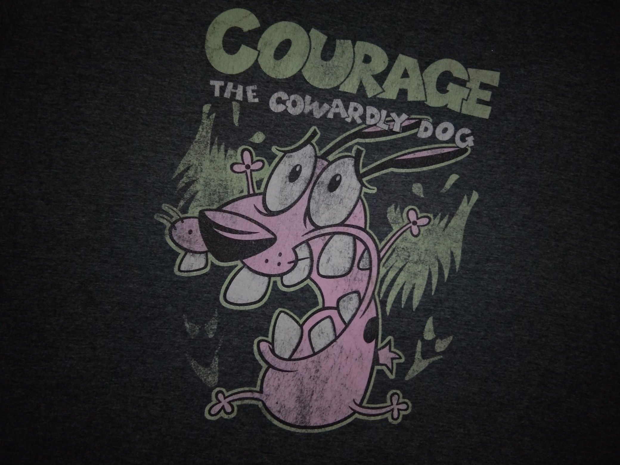 Courage The Cowardly Dog Cartoon Network - 1