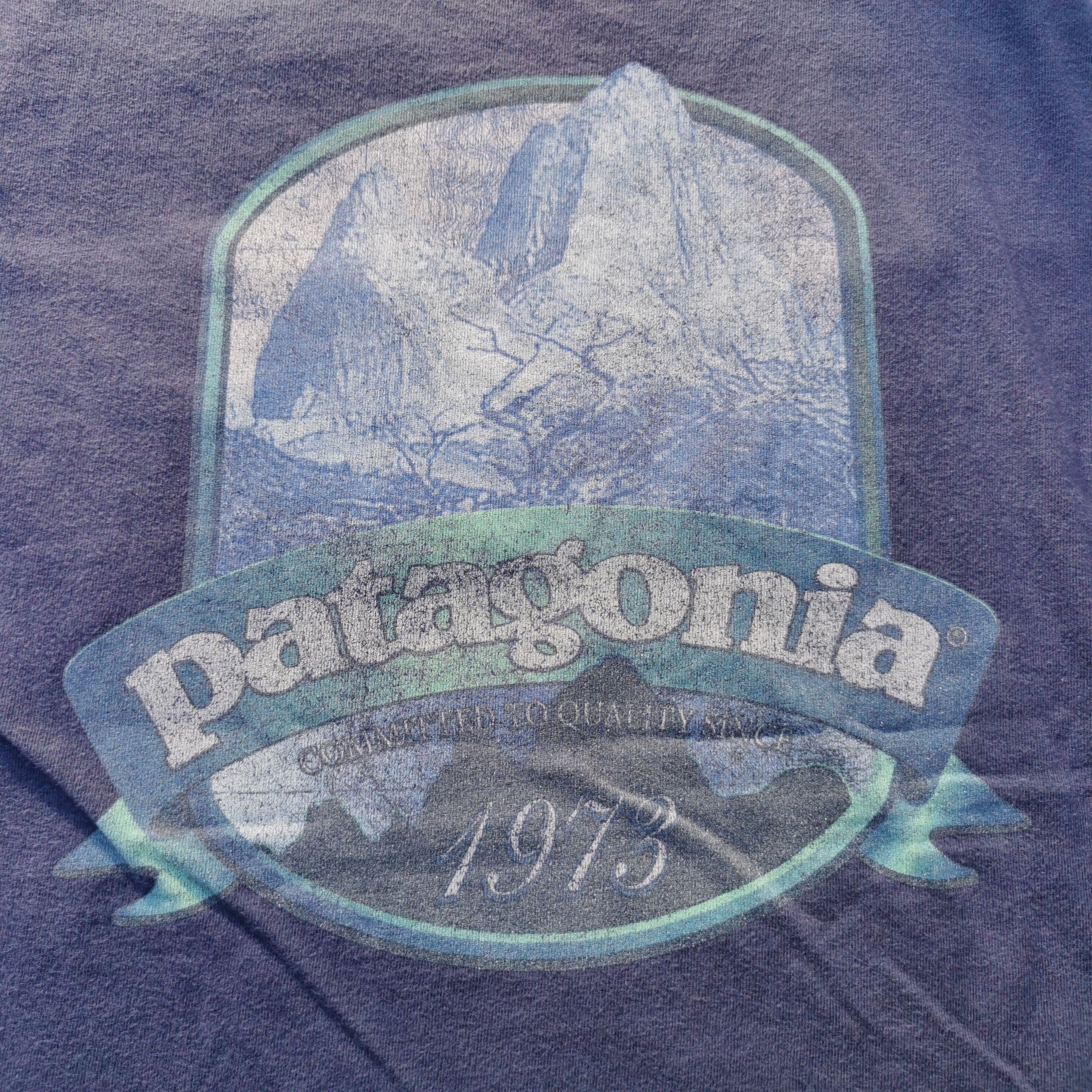 Patagonia Big Print Tshirt - 2