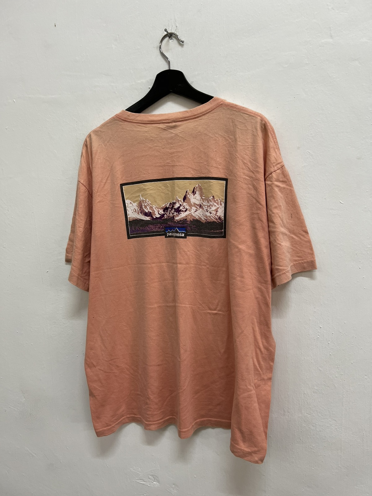 🔥STEAL🔥 Patagonia Tee Shirt - 5