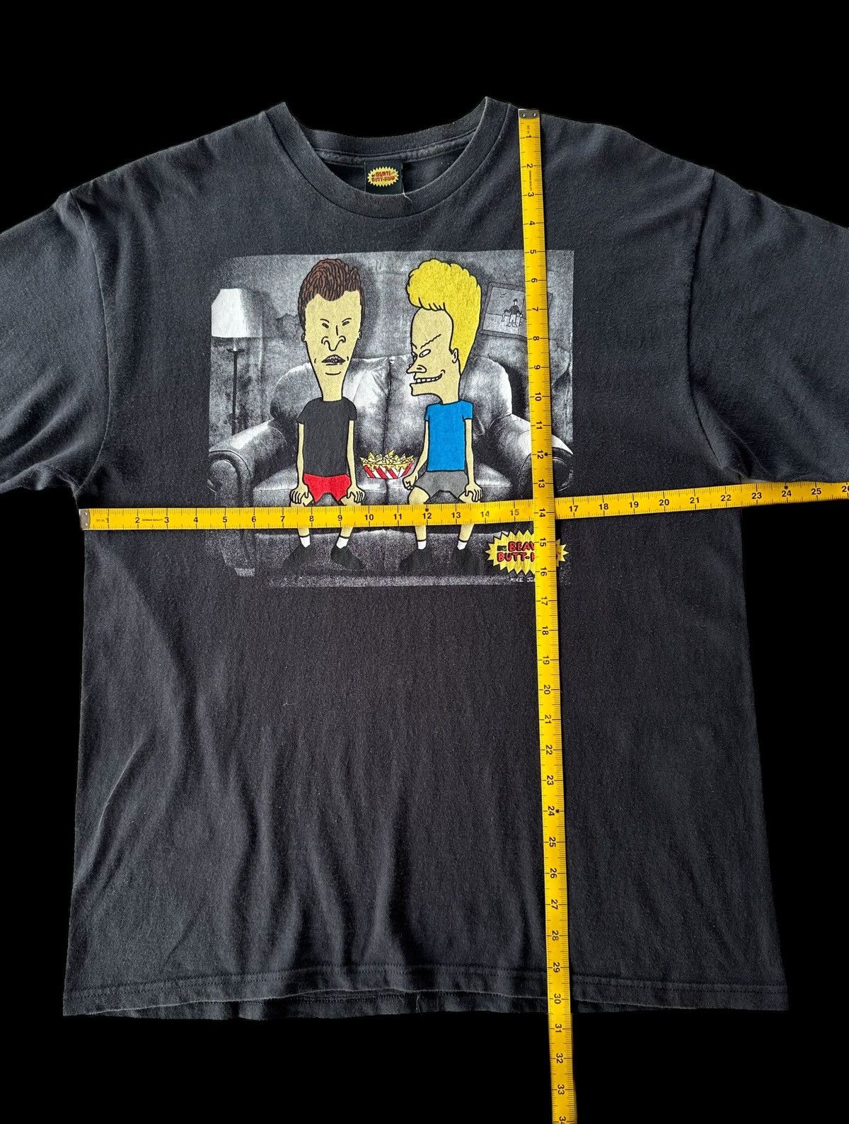 Vintage Beavis And Butthead MTV Fifth Sun 2011 - 15