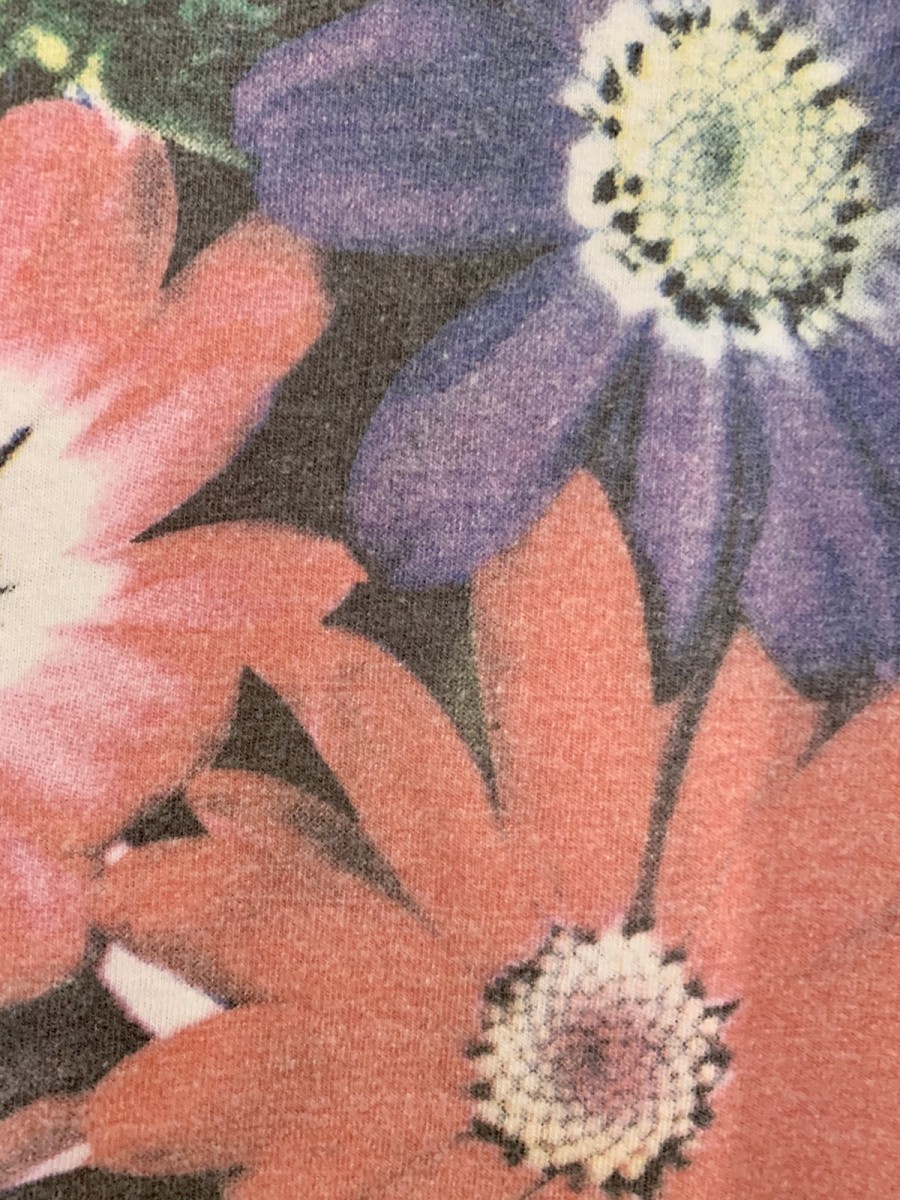 Niche - Seed tee - Cineraria - 3