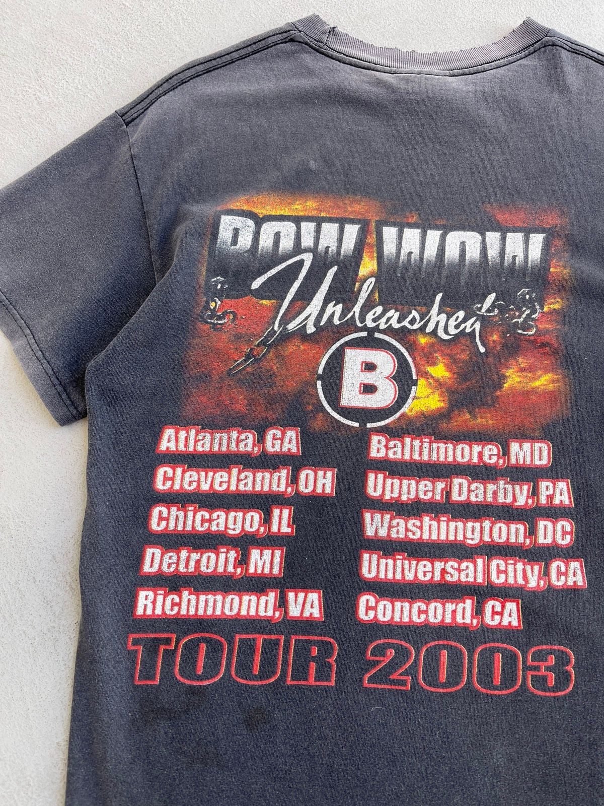 SUPER RARE Vintage 2003 Bow Wow Unleashed Tour Tee (M) - 4