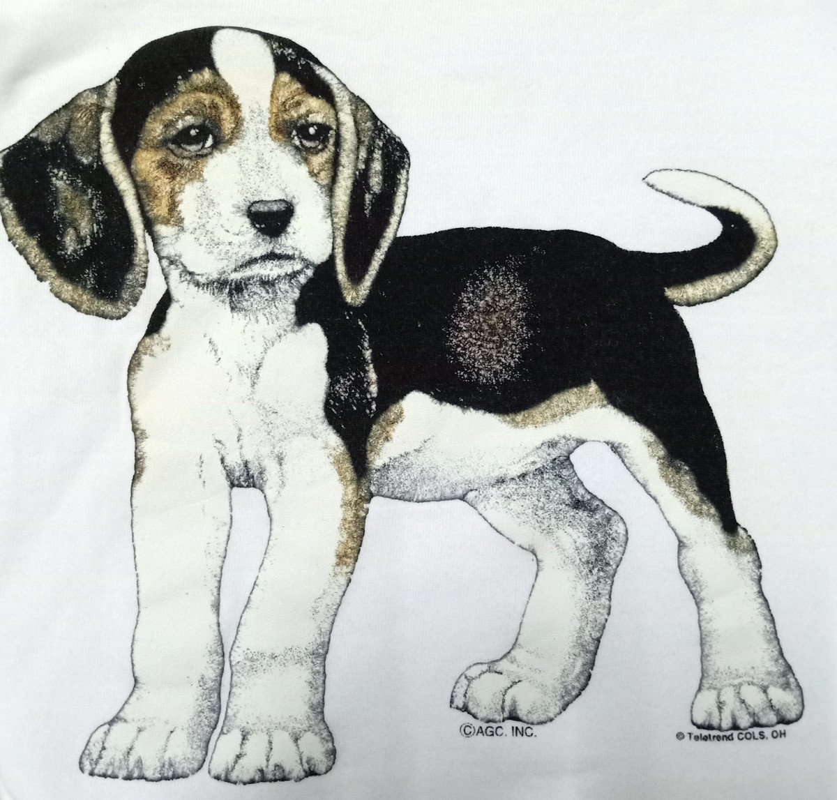 Animal Tee - Big Print Puppy Pullover - 3