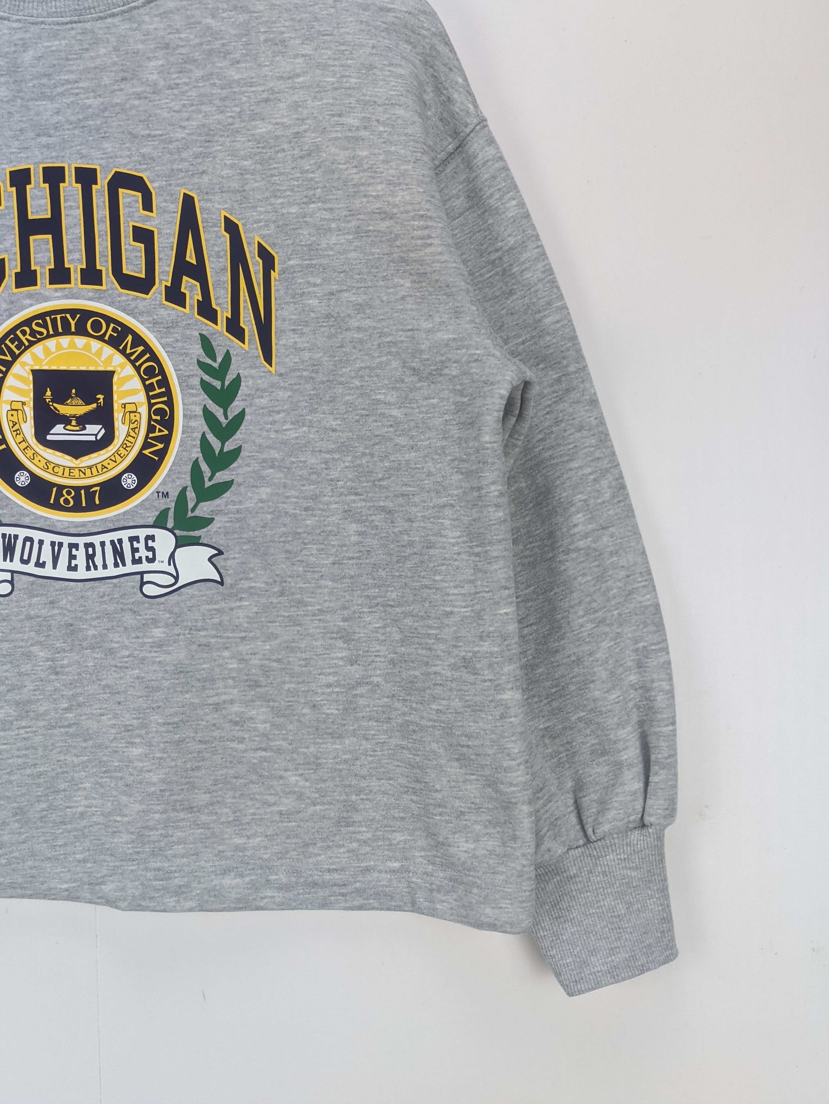 Japanese Brand - Steals🔥Cropped Sweatshirt University of Michigan - 6