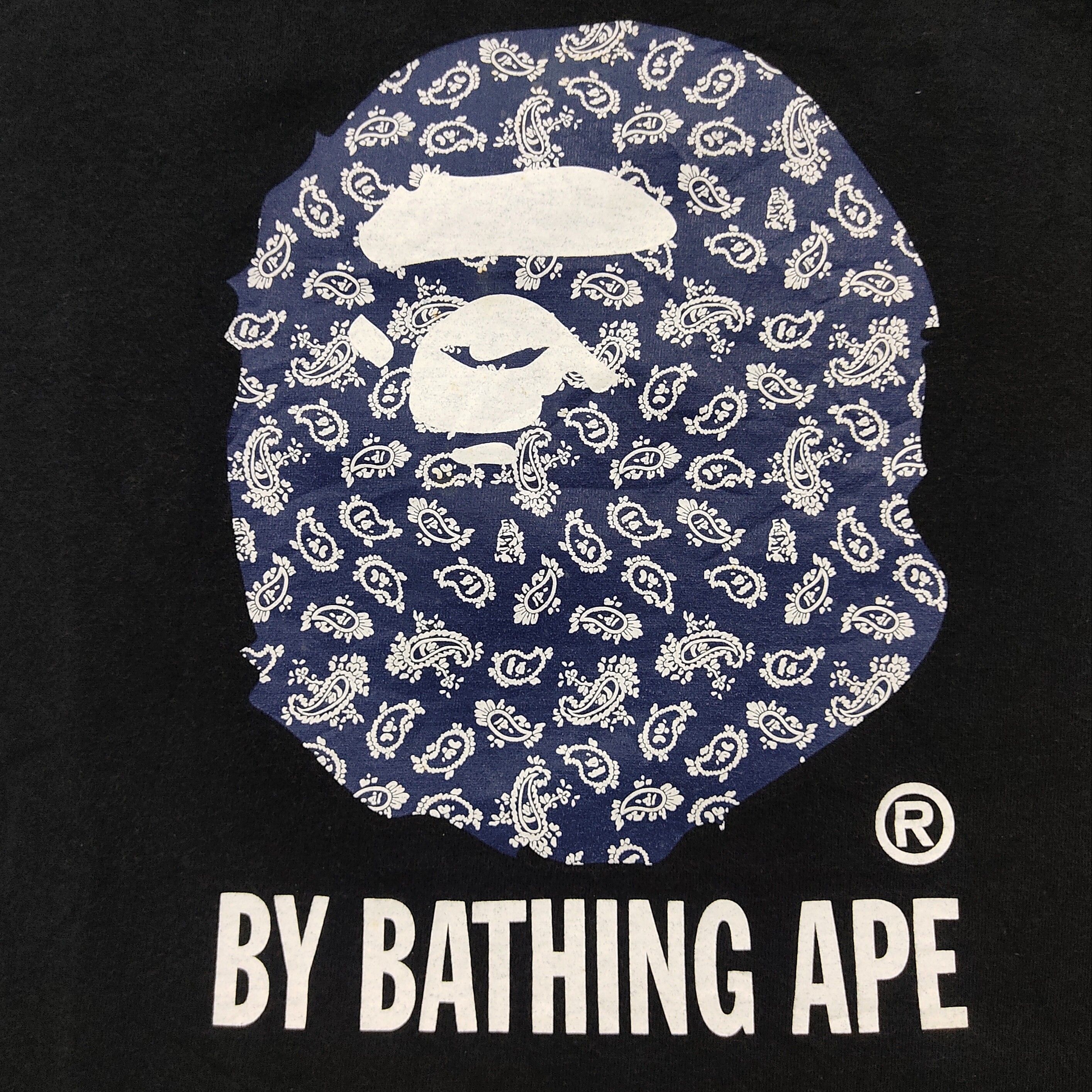 Paisley By Bathing Ape Tee - 6