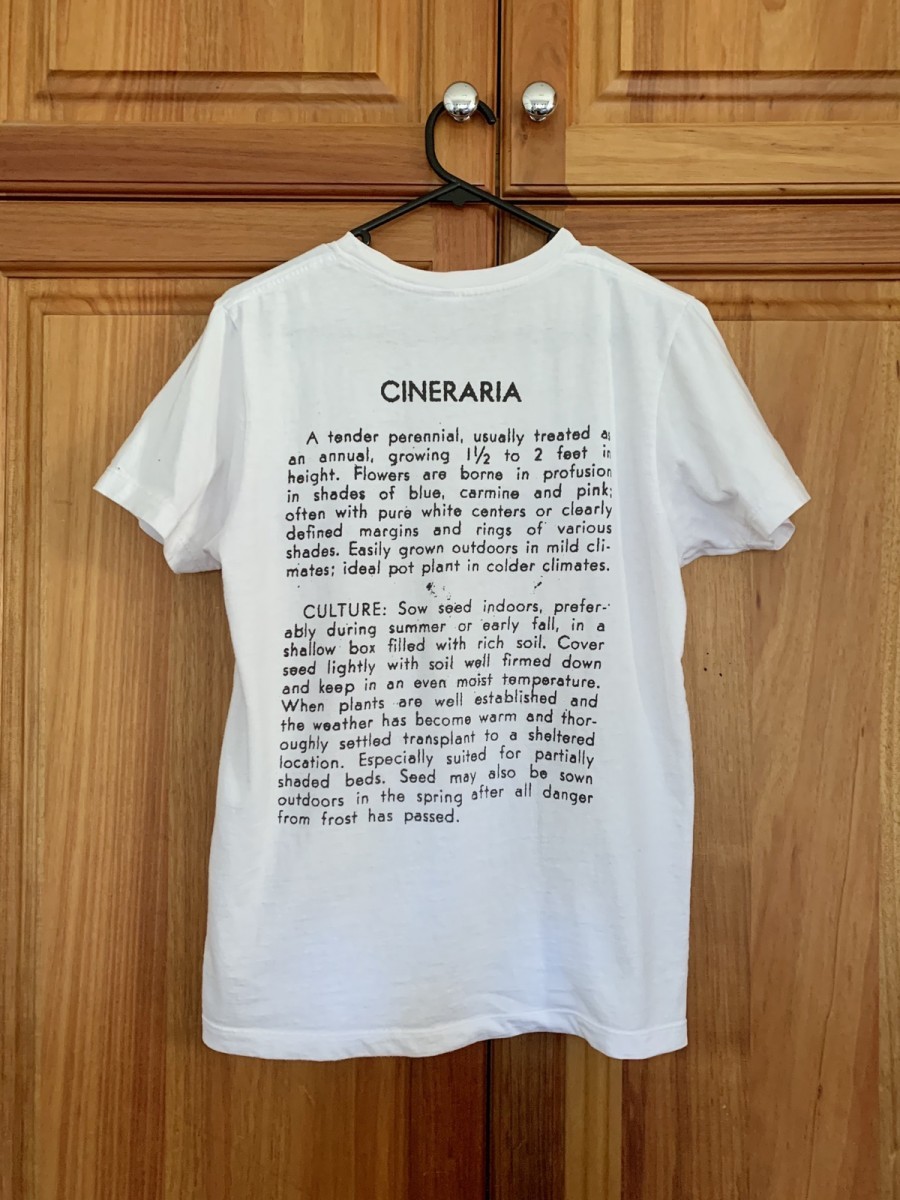 Niche - Seed tee - Cineraria - 2