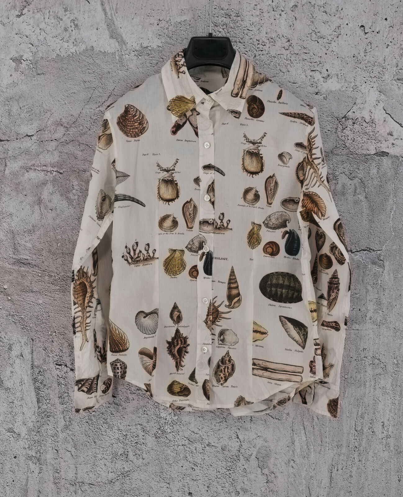 Other Designers Paul Harnden Shoemakers - BNWT PAUL HARNDEN PRINTED SHELLS  COTTON SHIRT M | hurricane08 | REVERSIBLE