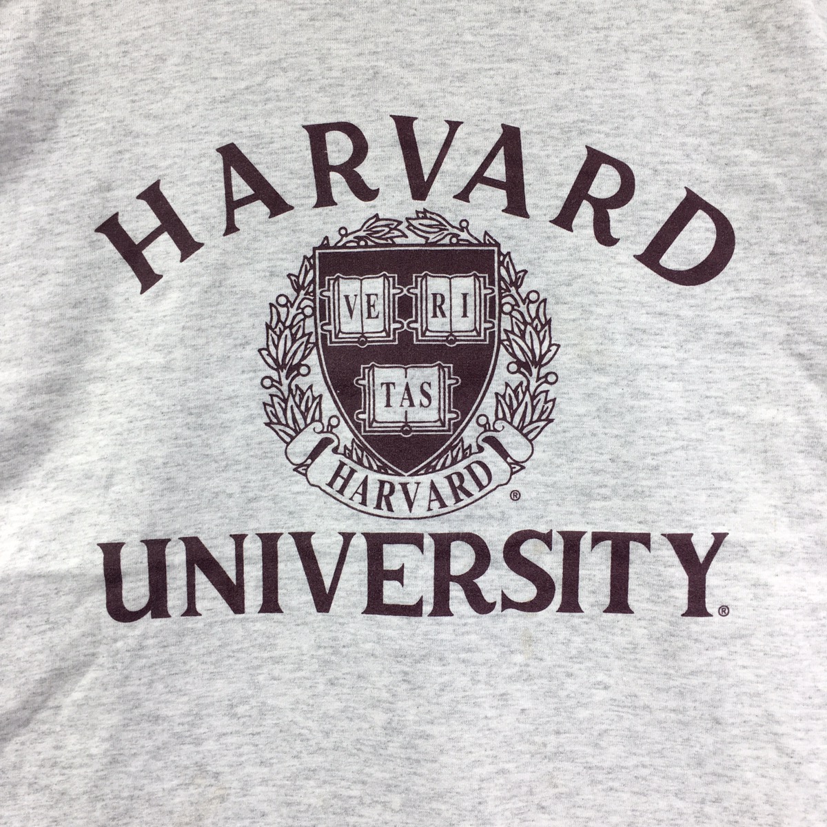 Vtg 90’ CHAMPION x HARVARD UNIVERSITY Tee Shirt Veritas Ivy - 3