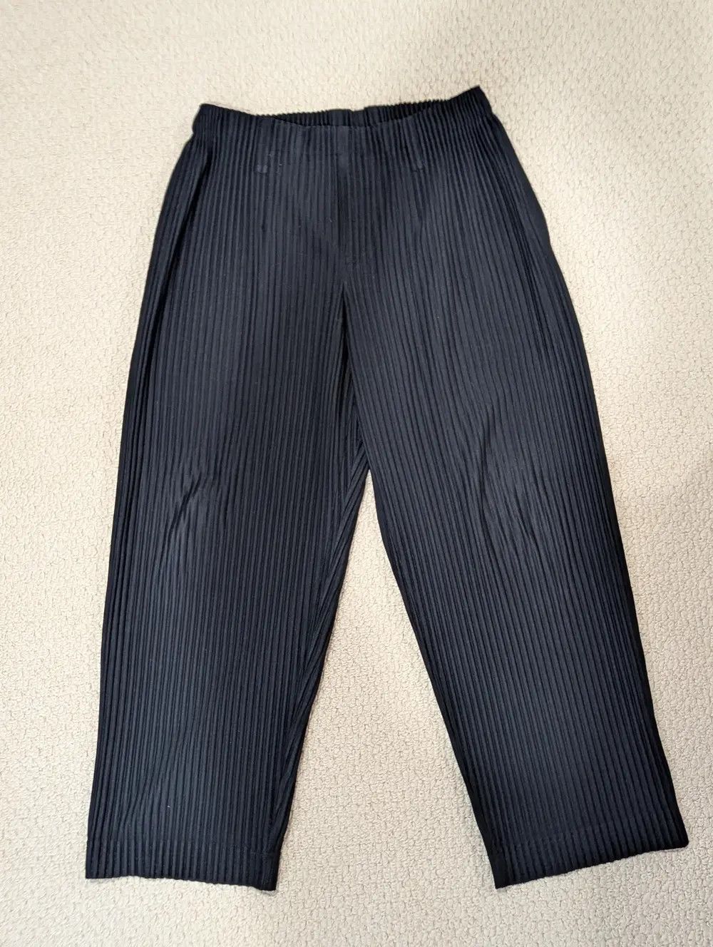 Issey Miyake - Homme Plisse Pleated Trousers - 1