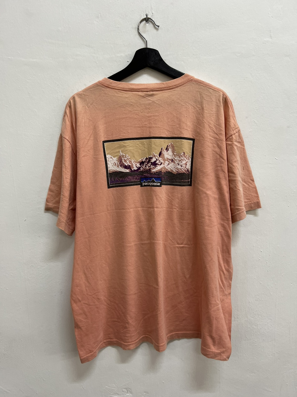 🔥STEAL🔥 Patagonia Tee Shirt - 4