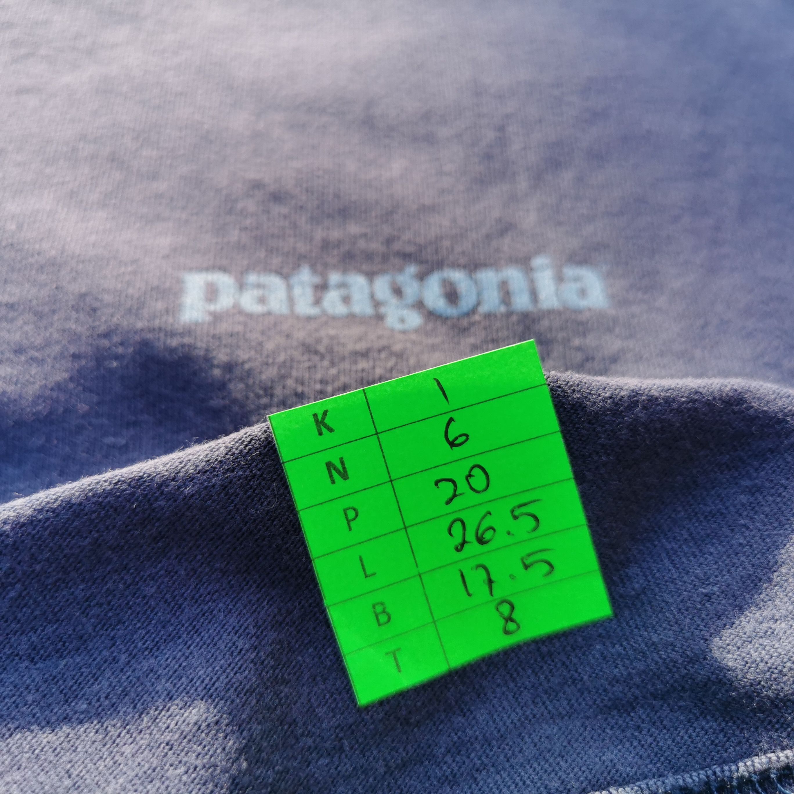 Patagonia Big Print Tshirt - 7