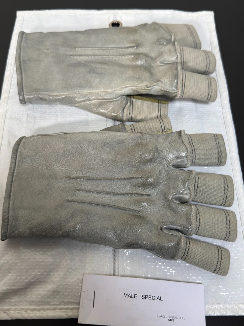 Carol Christian Poell Gloves - 1