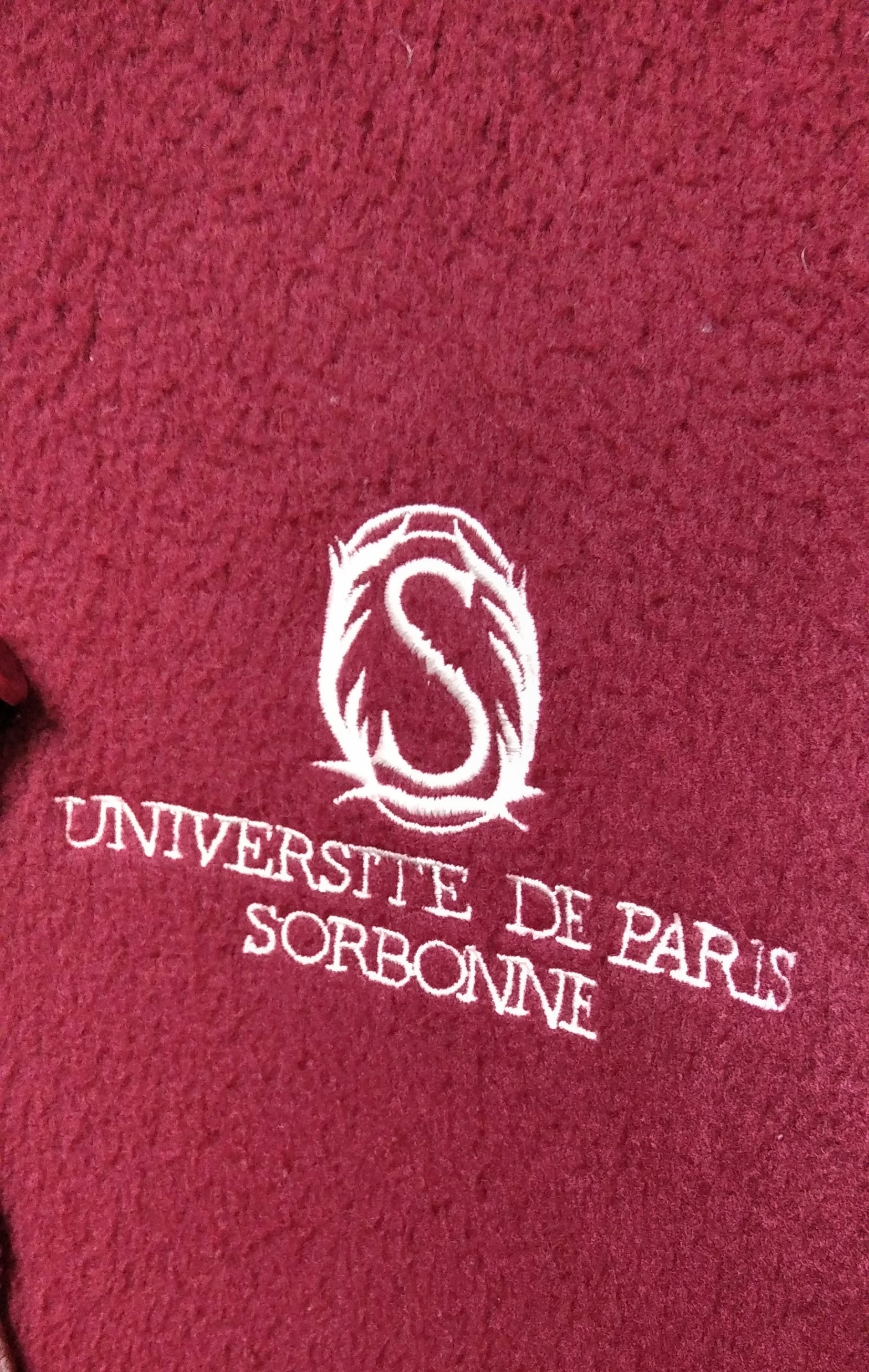 Vintage Universite De Paris Sorbonne Baggy Fleece Hoodie - 5