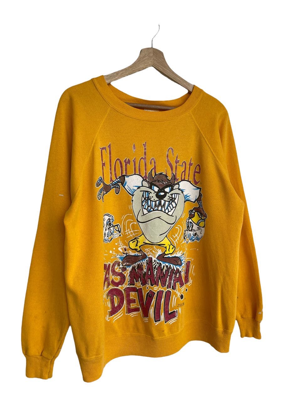 Last Drop!!Vintage Florida State University X Tazmania Sweat - 2