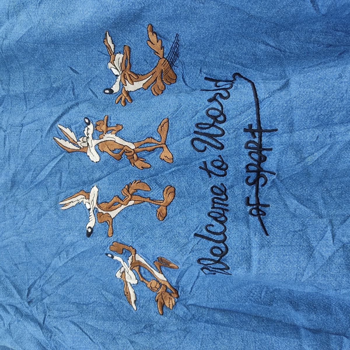 Designer - Wile Coyote 90s Jacket - 3