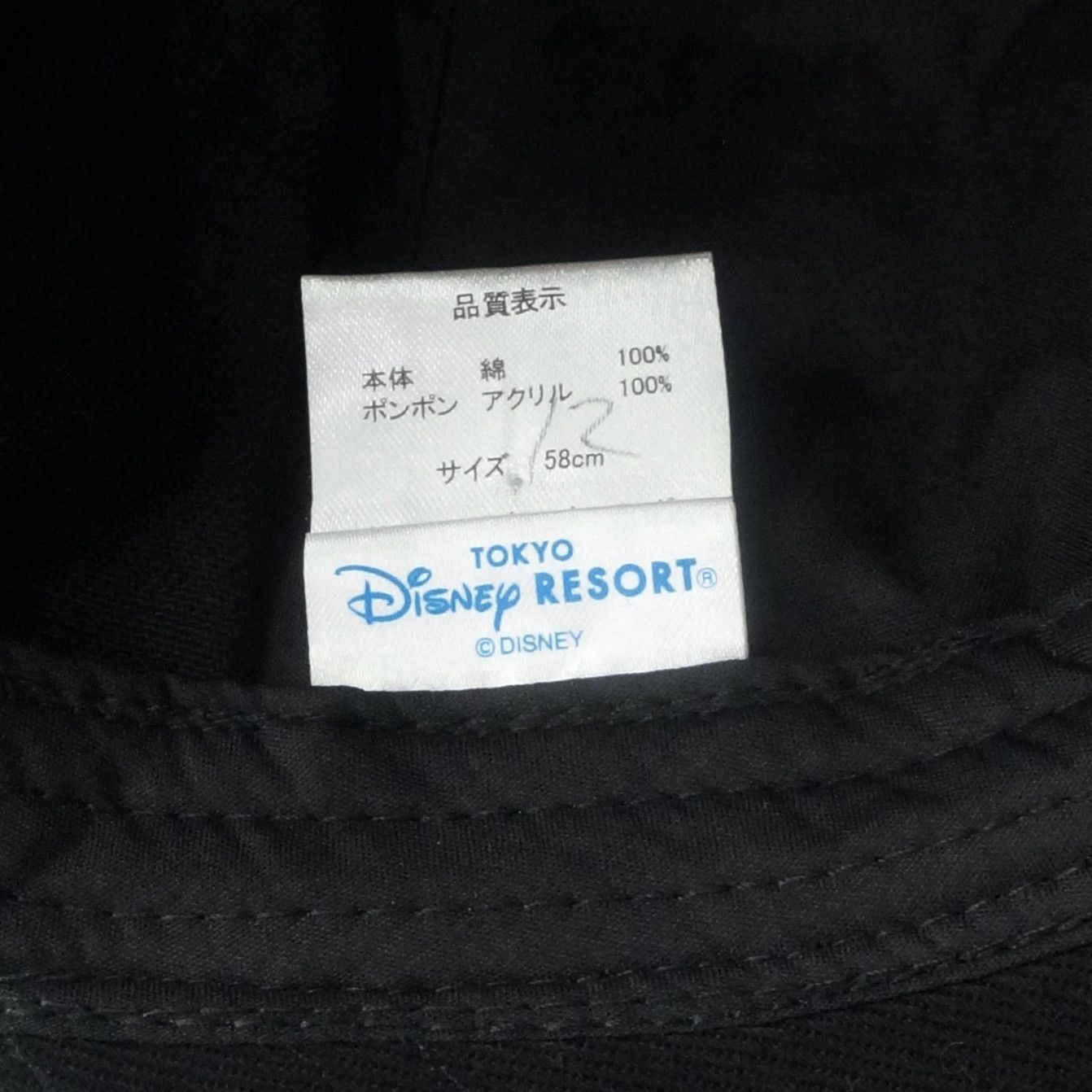 MICKEY MOUSE TOKYO DISNEY RESORT Ear Cap - 3