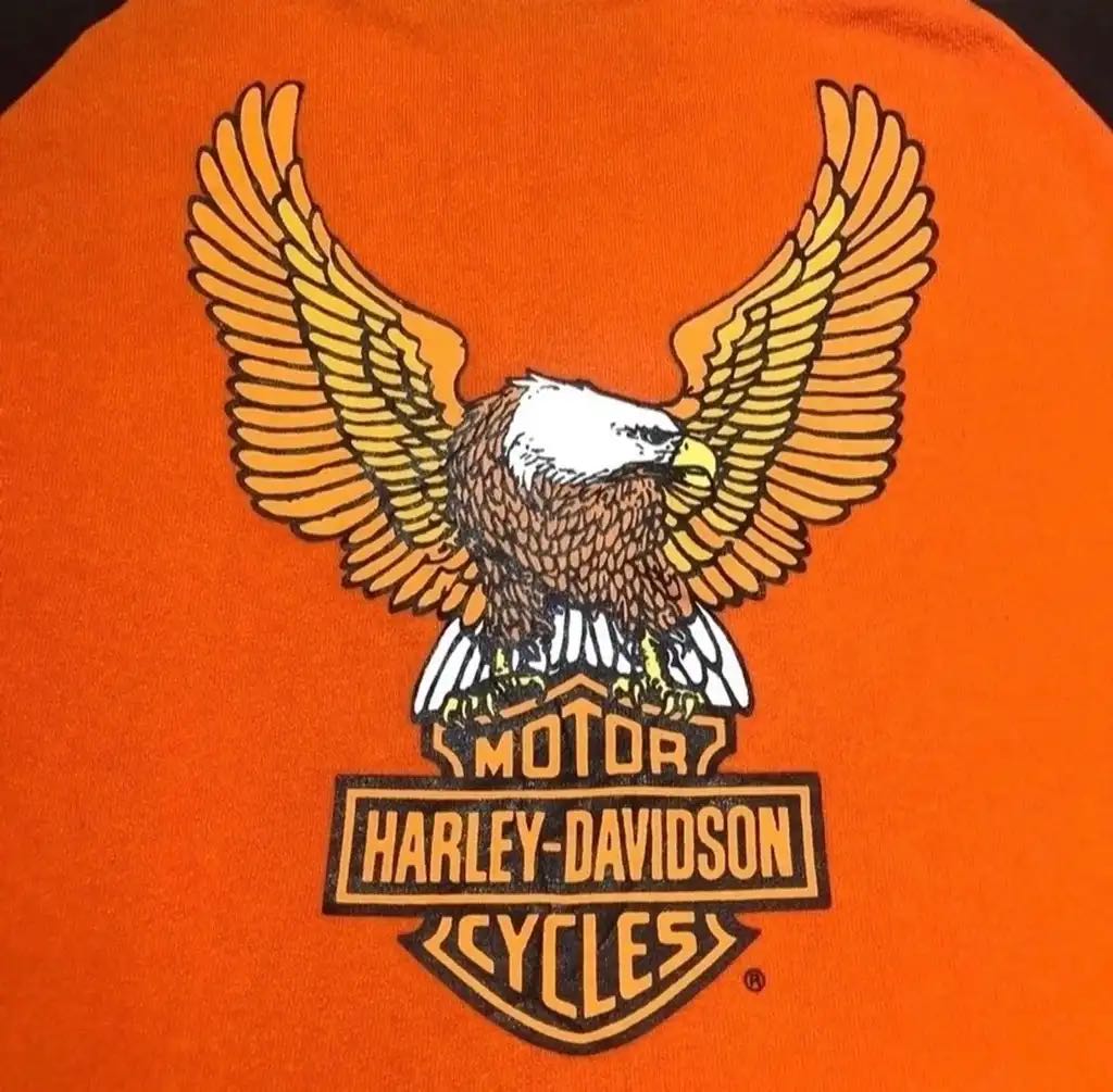 The real mccoys X harley davidson sweatshirt - 2