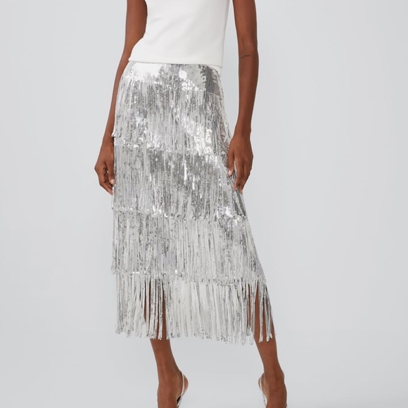 Zara Silver Limited Edition Fringe Sequin Skirt - 2