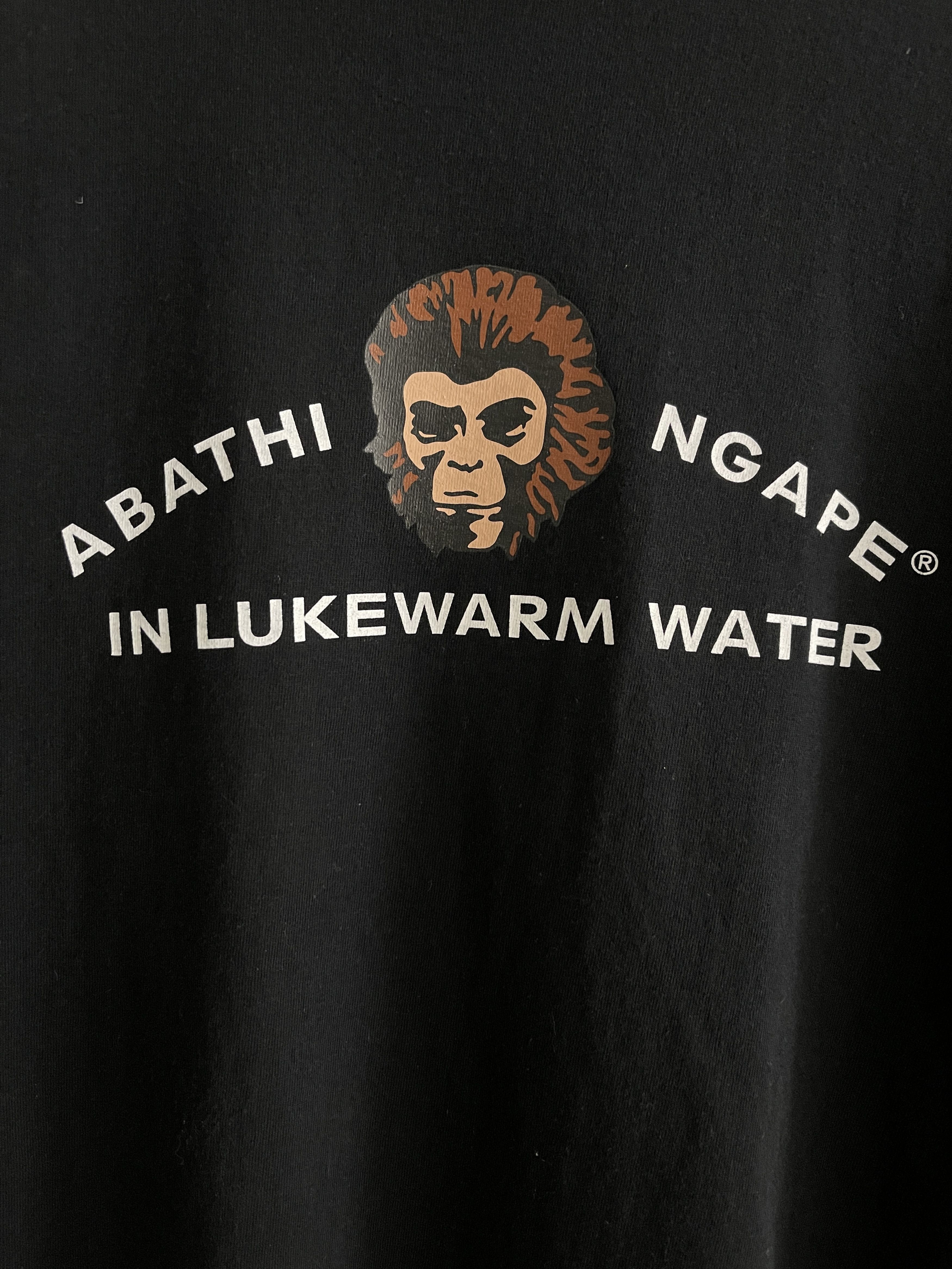 Bape In Lukewarm Water Ape College Logo Tee - 4